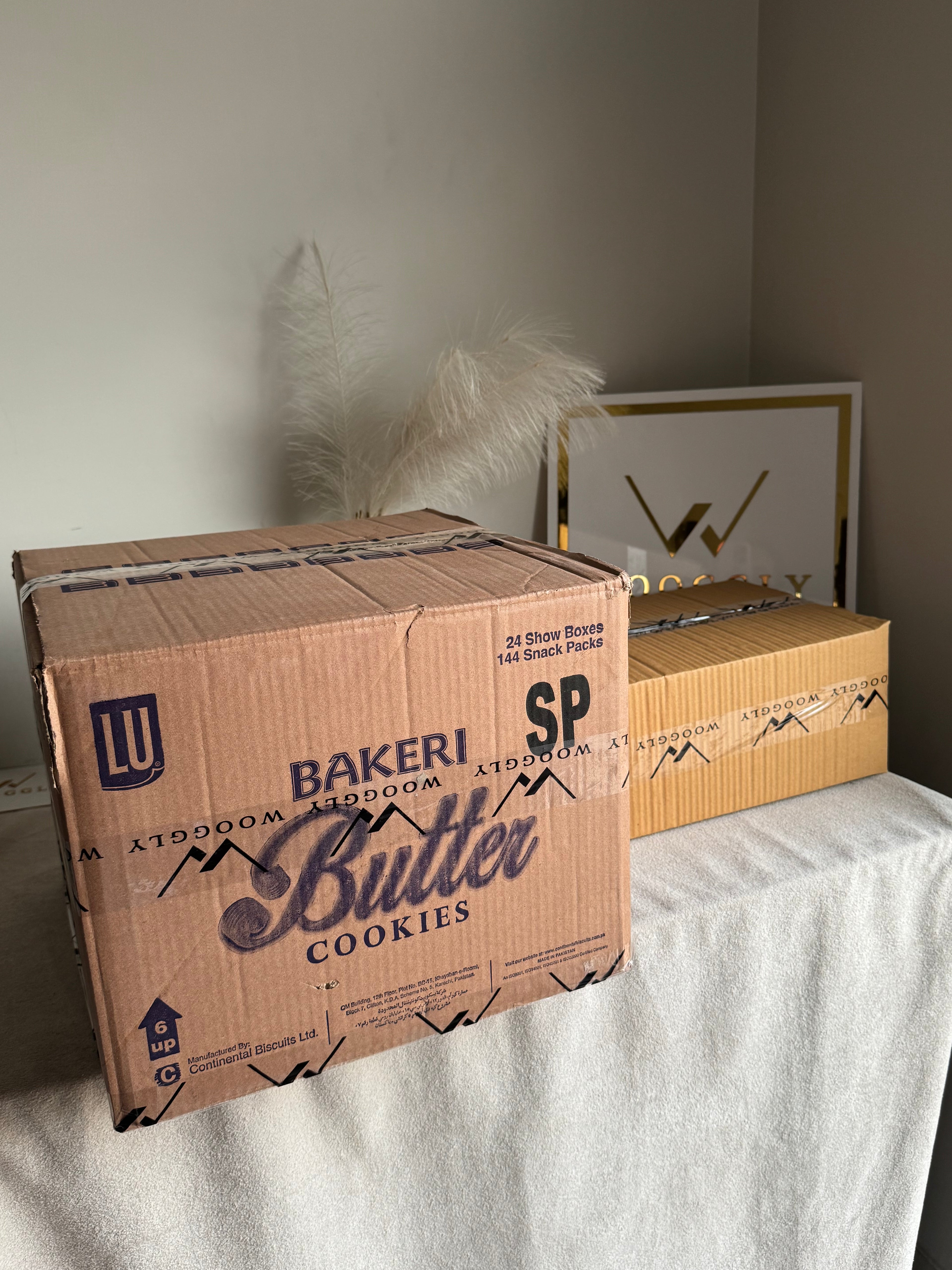 CARTON BOX PACKING for PAPER BAGS