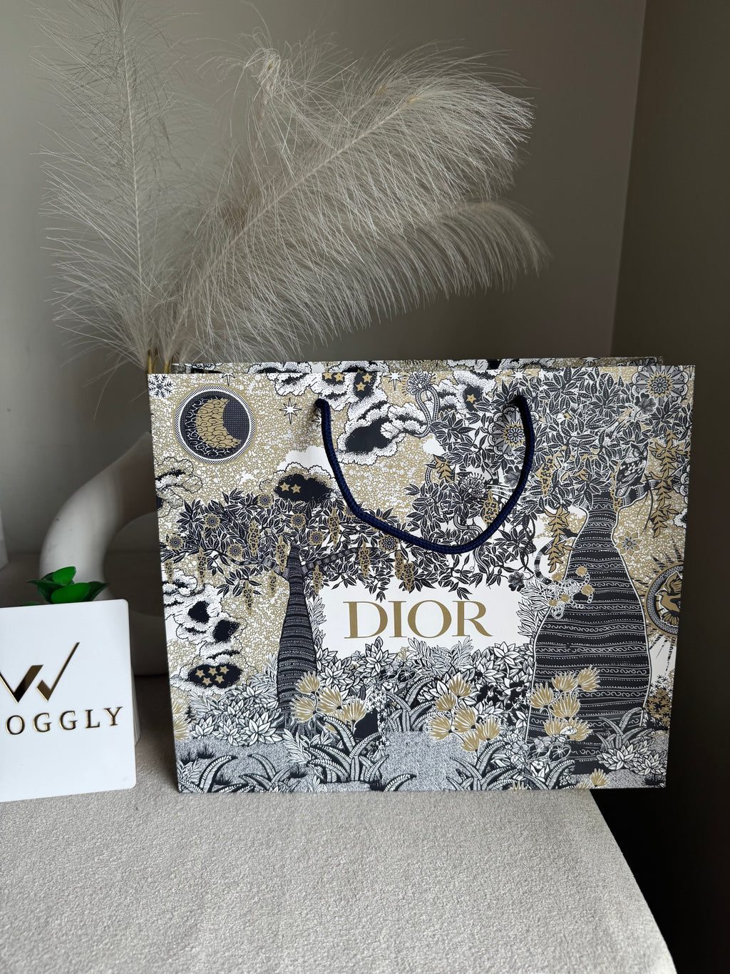 Gift Bag - Dior - Medium (ONLY FOR PICK UP OR INDRIVE CUSTOMERS IN LAHORE)