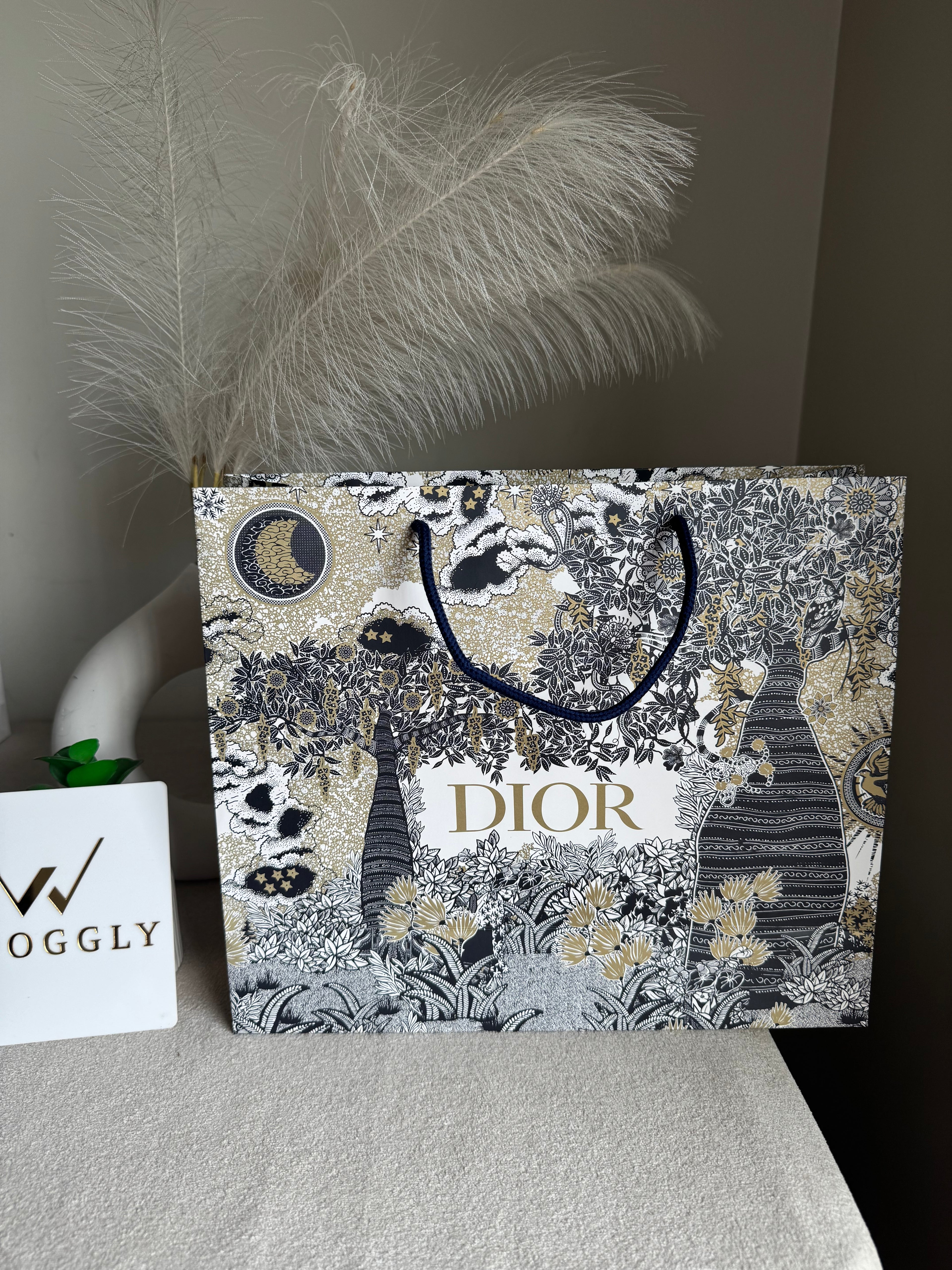 Gift Bag - Dior - Medium (ONLY FOR PICK UP OR INDRIVE CUSTOMERS IN LAHORE)