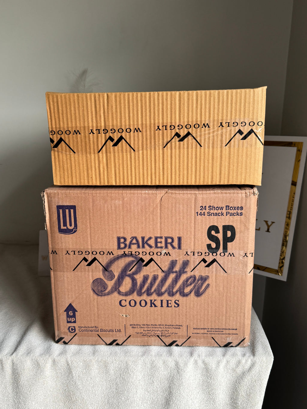 CARTON BOX PACKING for PAPER BAGS