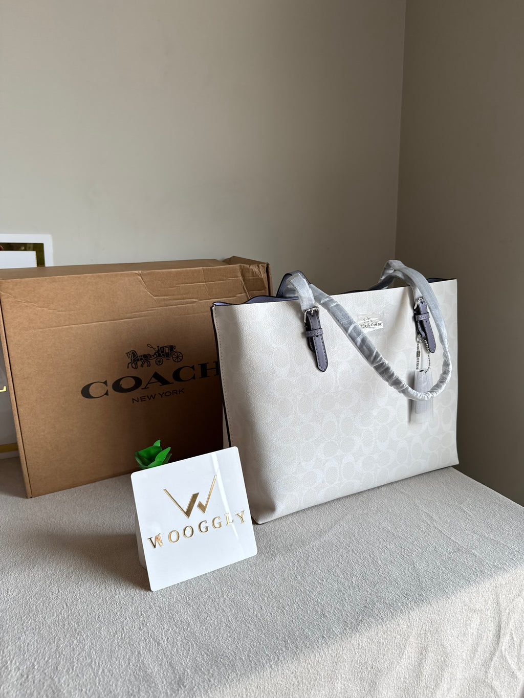 EXTREMELY PREMIUM COACH Mollie Tote Bag - Signature White & Lilac (BOX PACKING)