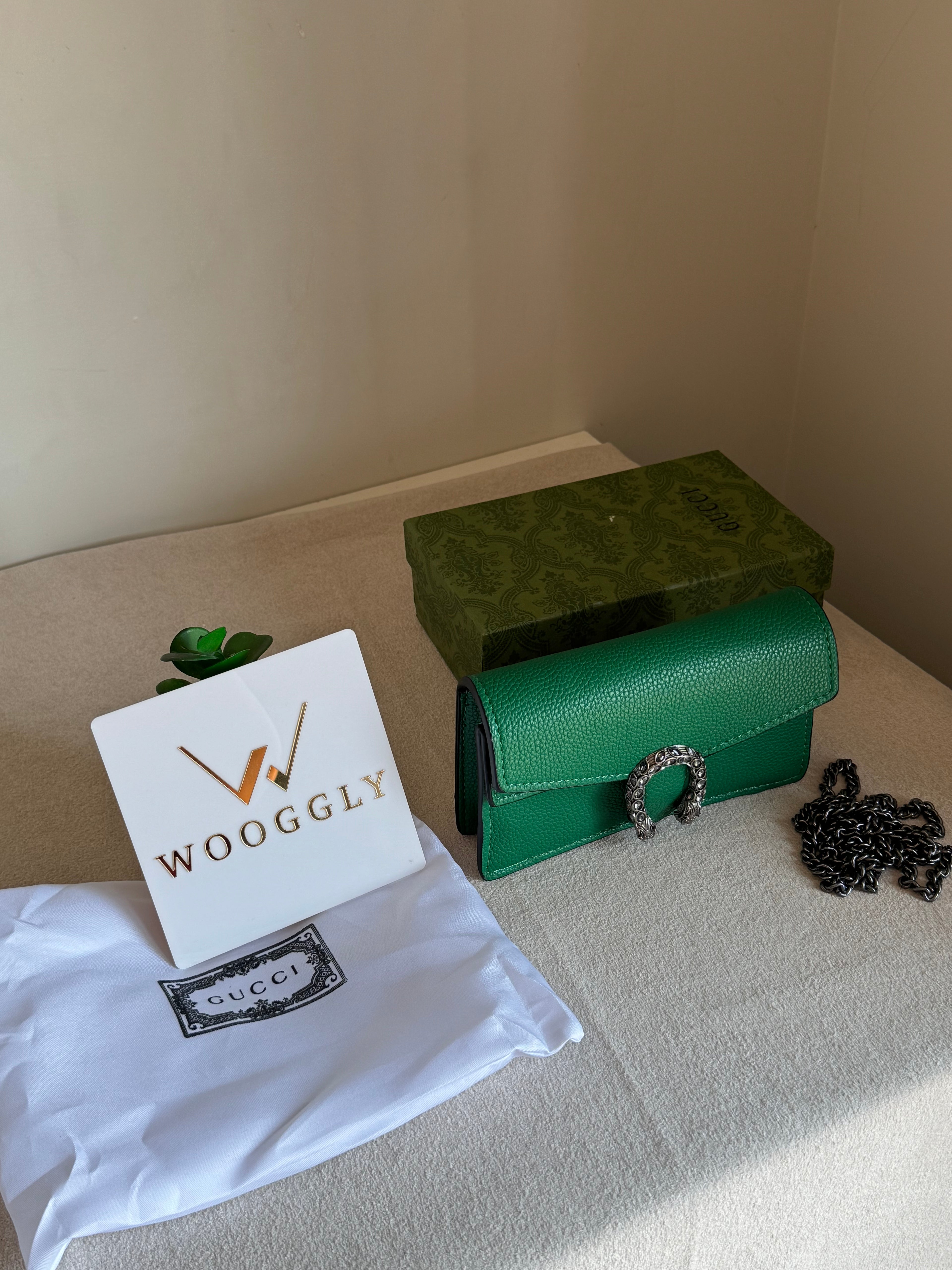 Viral Mini Gucci Bag Green - Box Packing