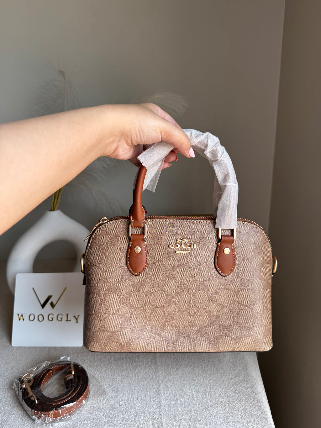 COACH PREMIUM Hand Bag (Apricot Brown) BOX PACKING