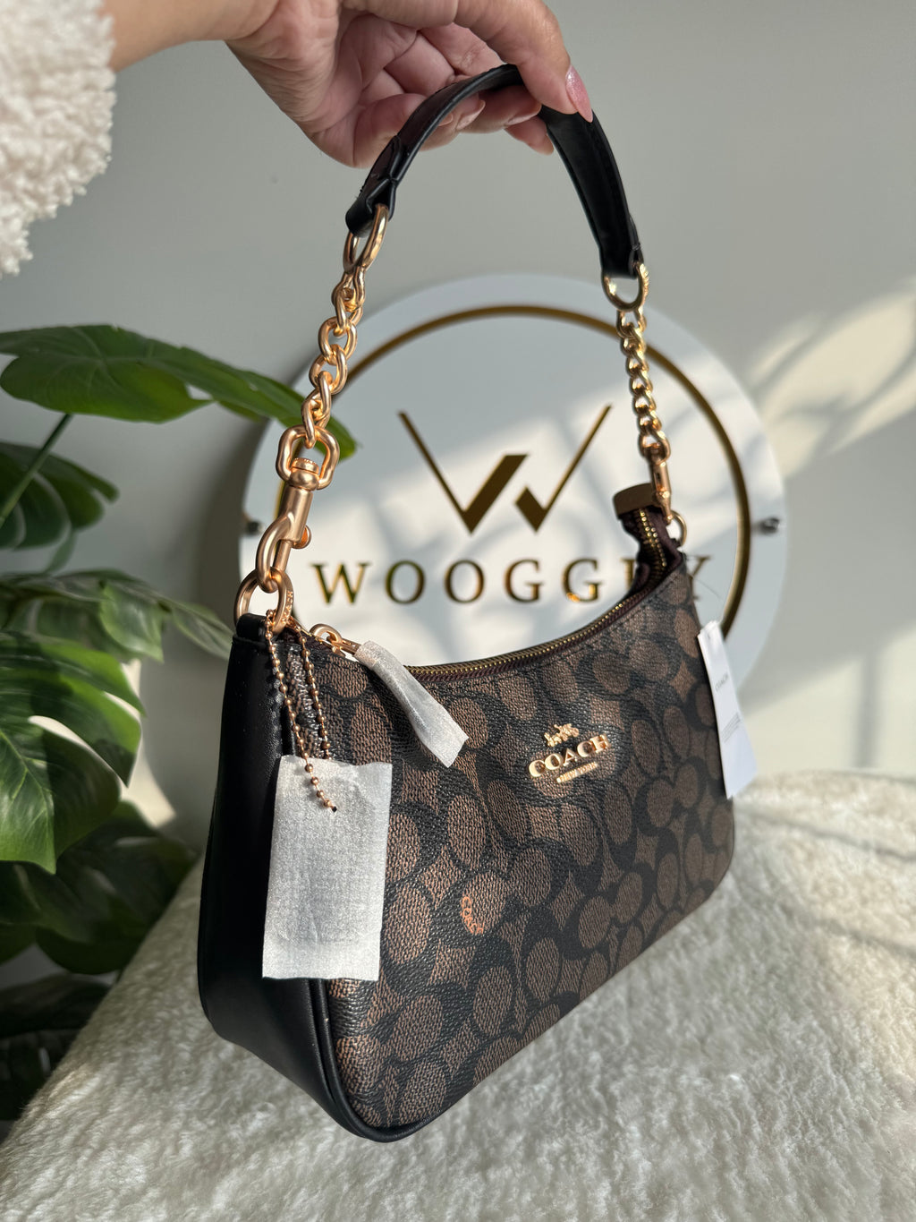 COACH TERI PREMIUM (Signature Brown) - MAGNETIC BOX PACKING