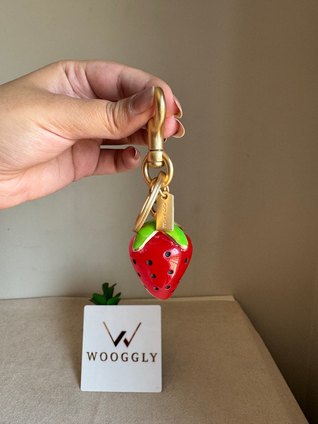 Premium Coach Strawberry Bag Charm