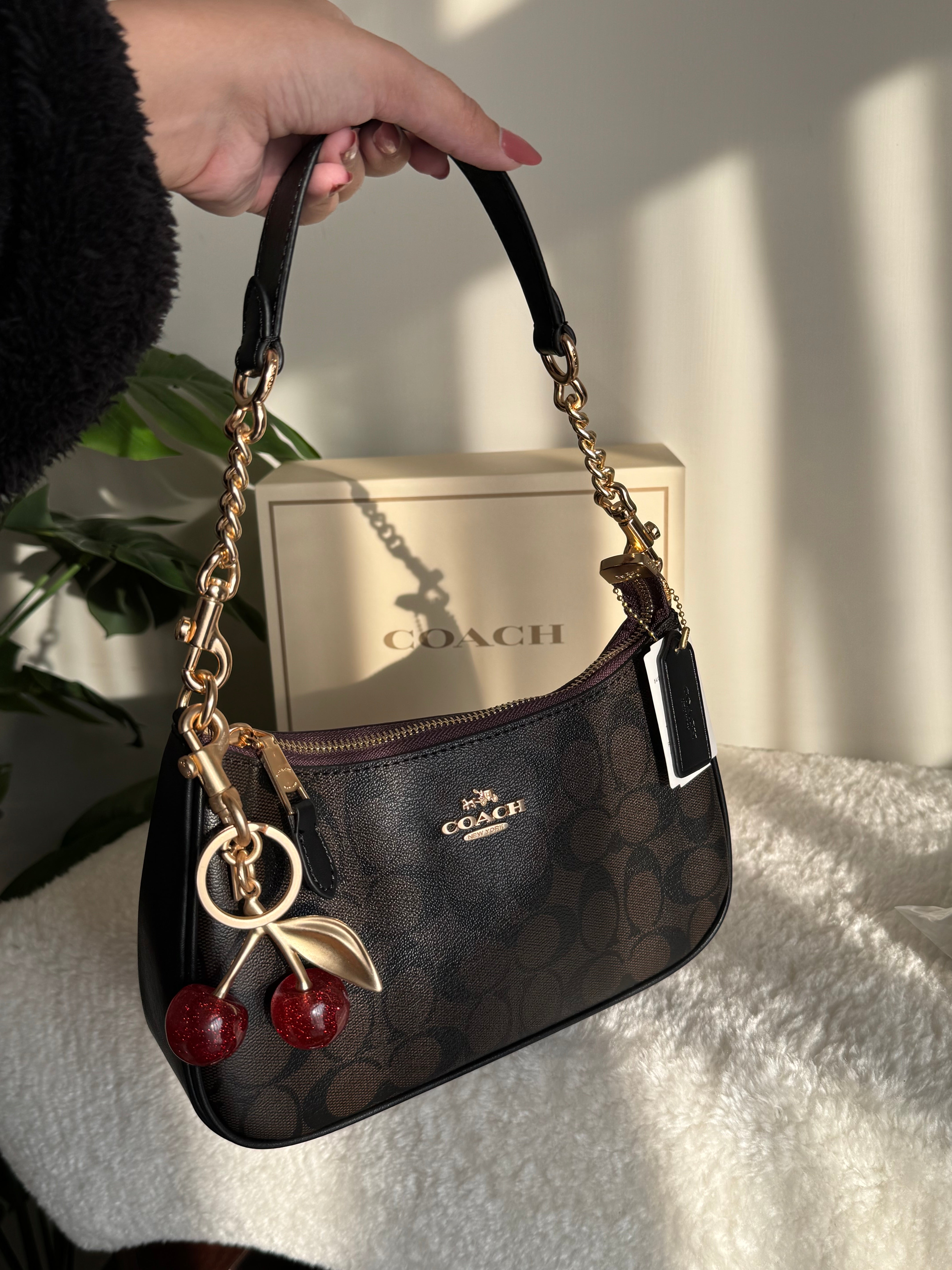 COACH TERI PREMIUM with Coach Cherry Charm (Brown) - BOX PACKING