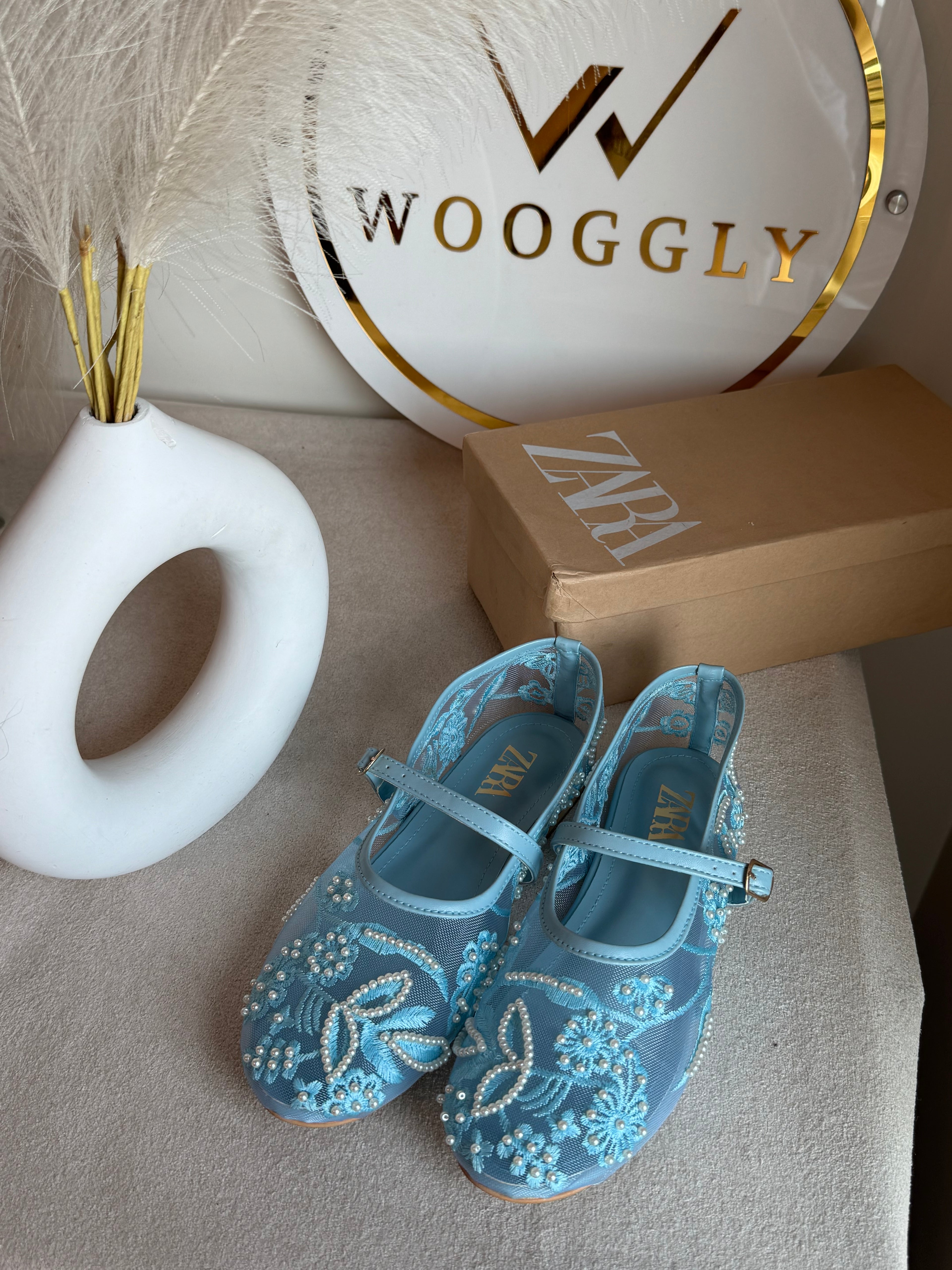 Zara Embroided Net Pumps - Baby Blue