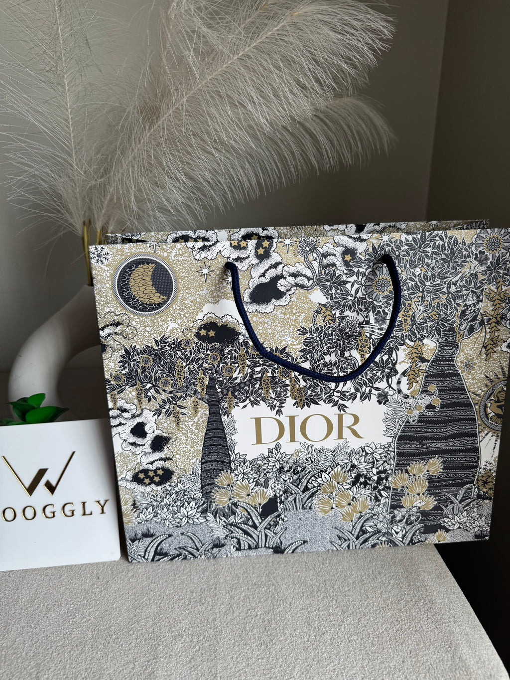 Gift Bag - Dior - Medium (ONLY FOR PICK UP OR INDRIVE CUSTOMERS IN LAHORE)