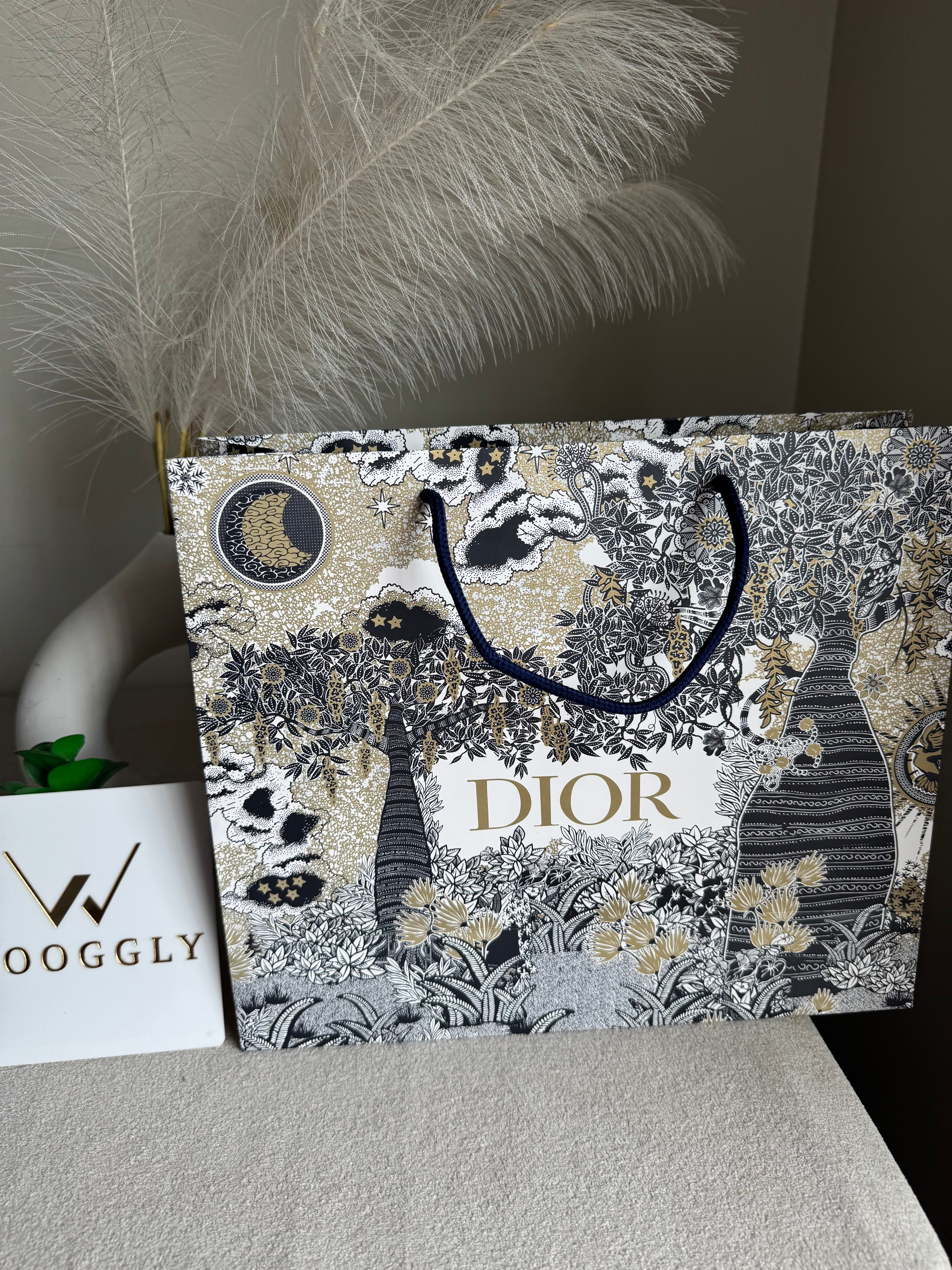 Gift Bag - Dior - Medium (ONLY FOR PICK UP OR INDRIVE CUSTOMERS IN LAHORE)