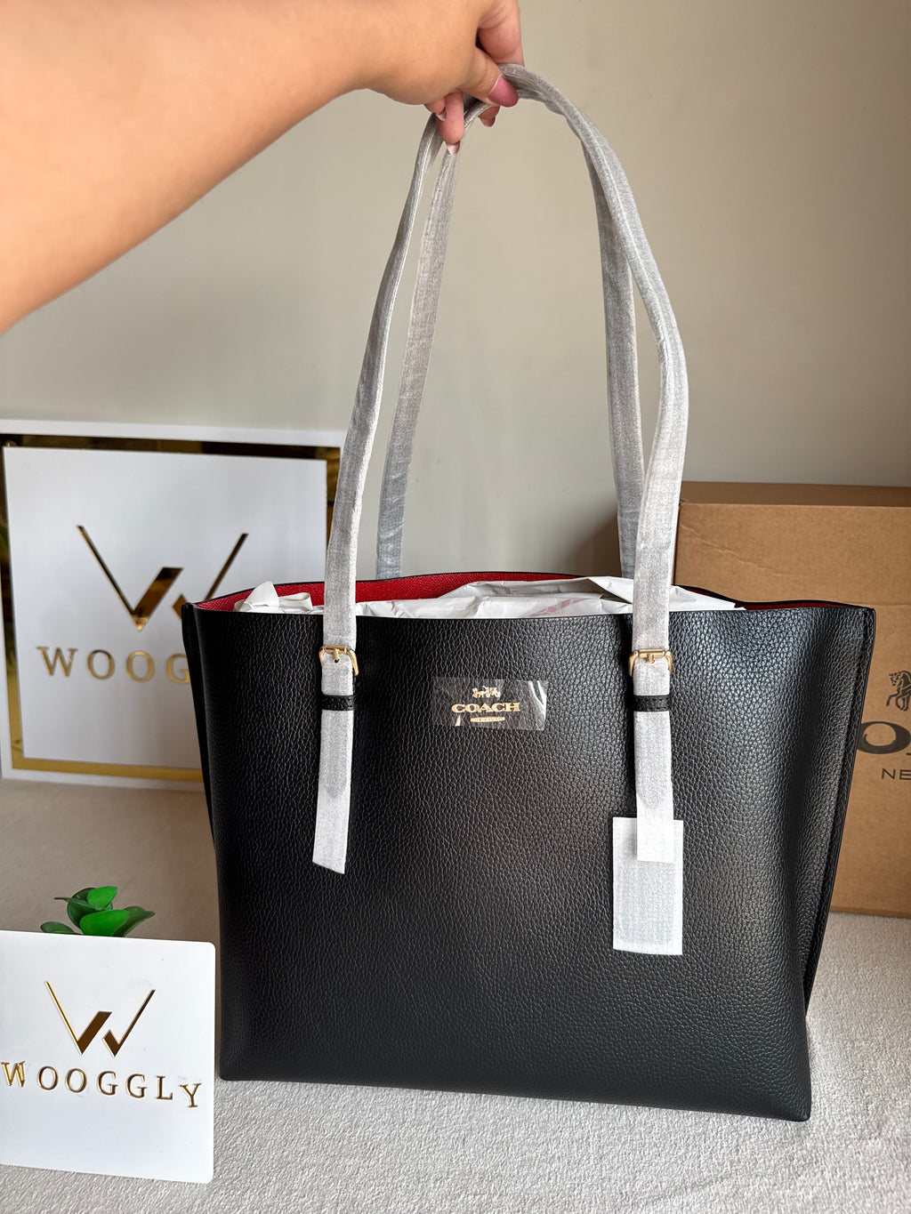 EXTREMELY PREMIUM COACH Mollie Tote Bag - Black (BOX PACKING)