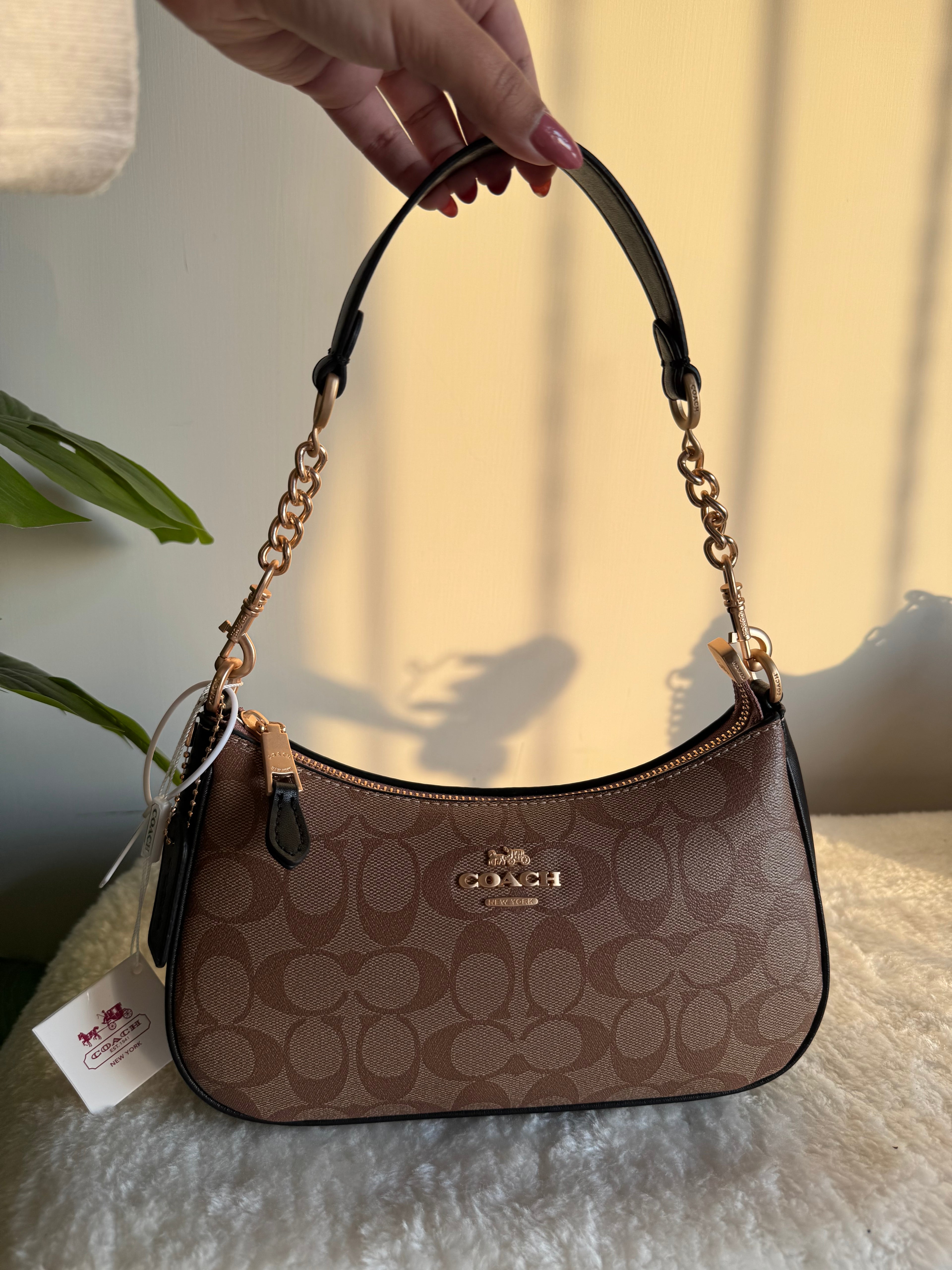 COACH TERI PREMIUM (Apricot Black) - BOX PACKING
