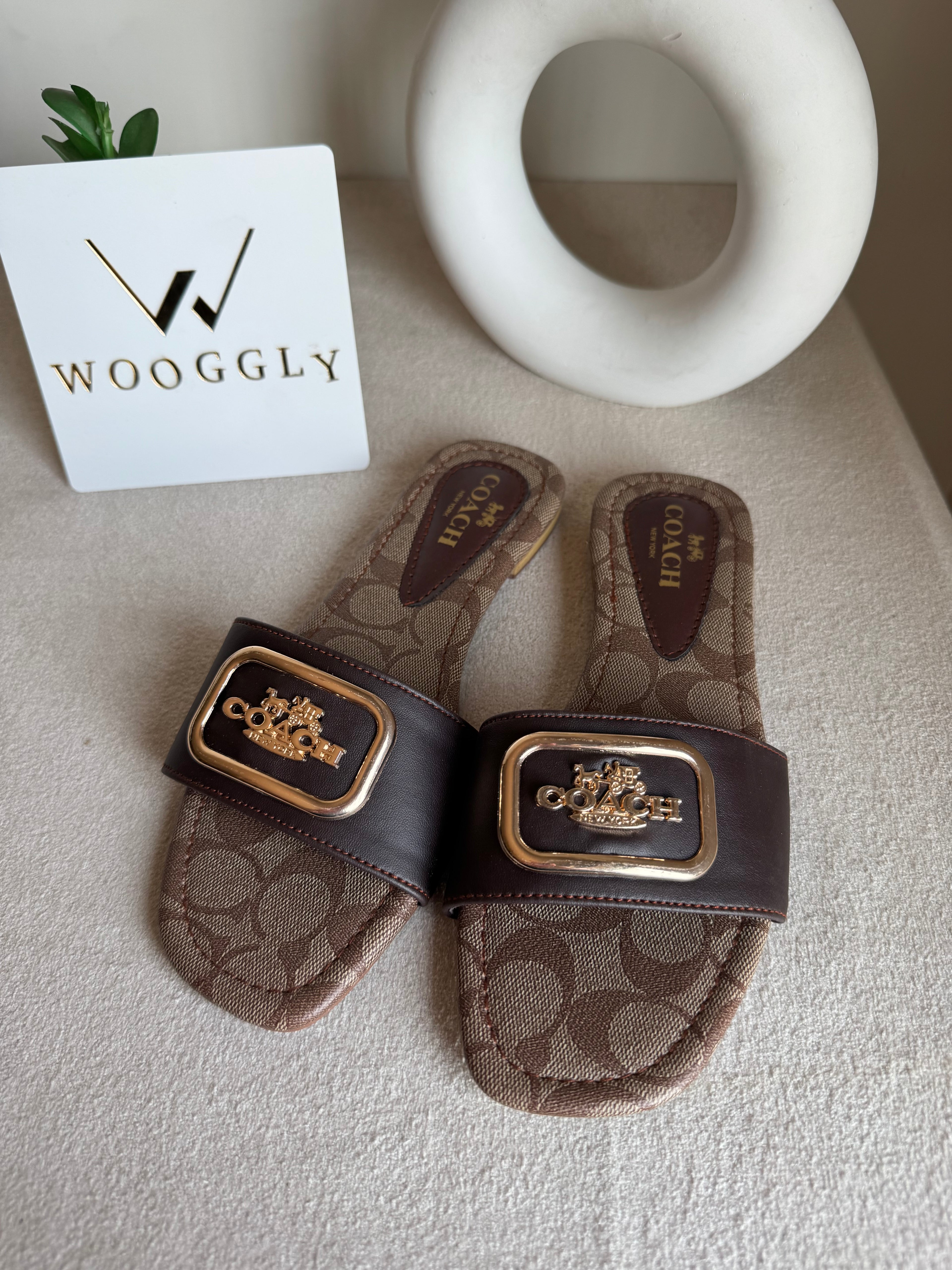 Minimal Coach Slides - Signature Brown