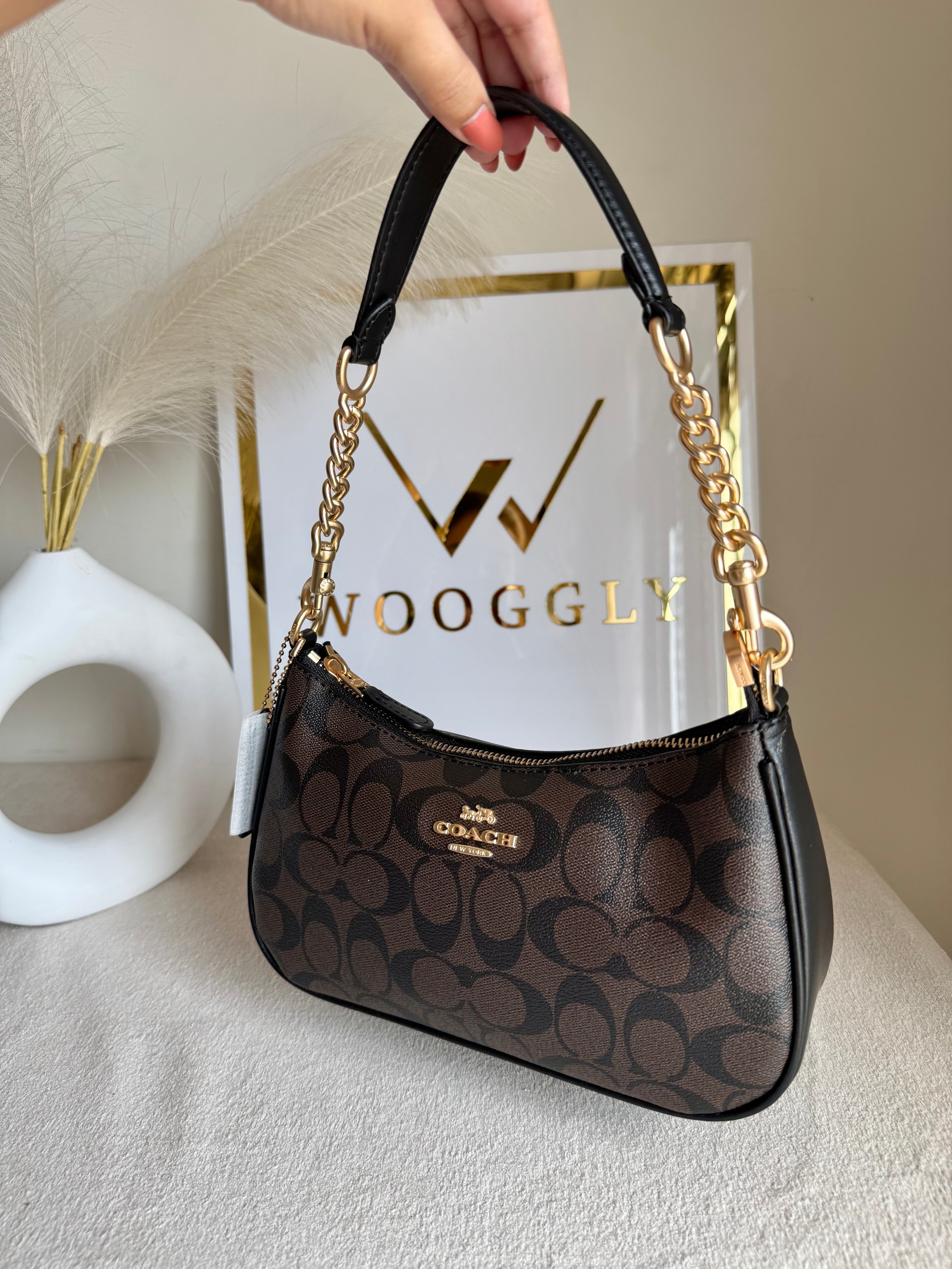 COACH TERI PREMIUM (Signature Brown) - MAGNETIC BOX PACKING