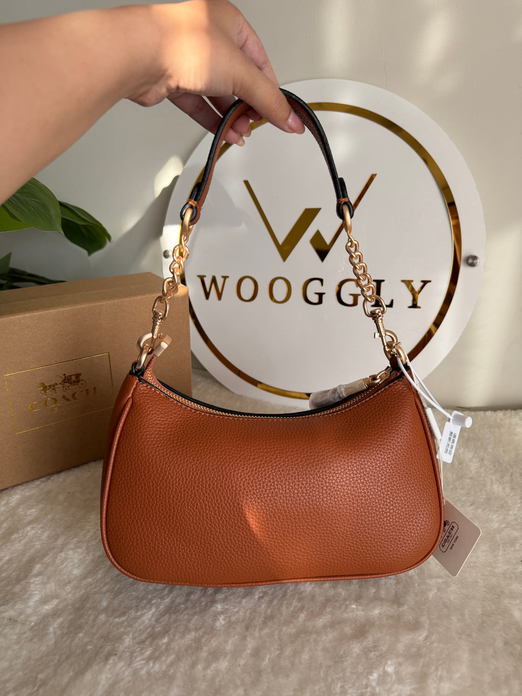 COACH TERI PREMIUM Fall Brown - BOX PACKING