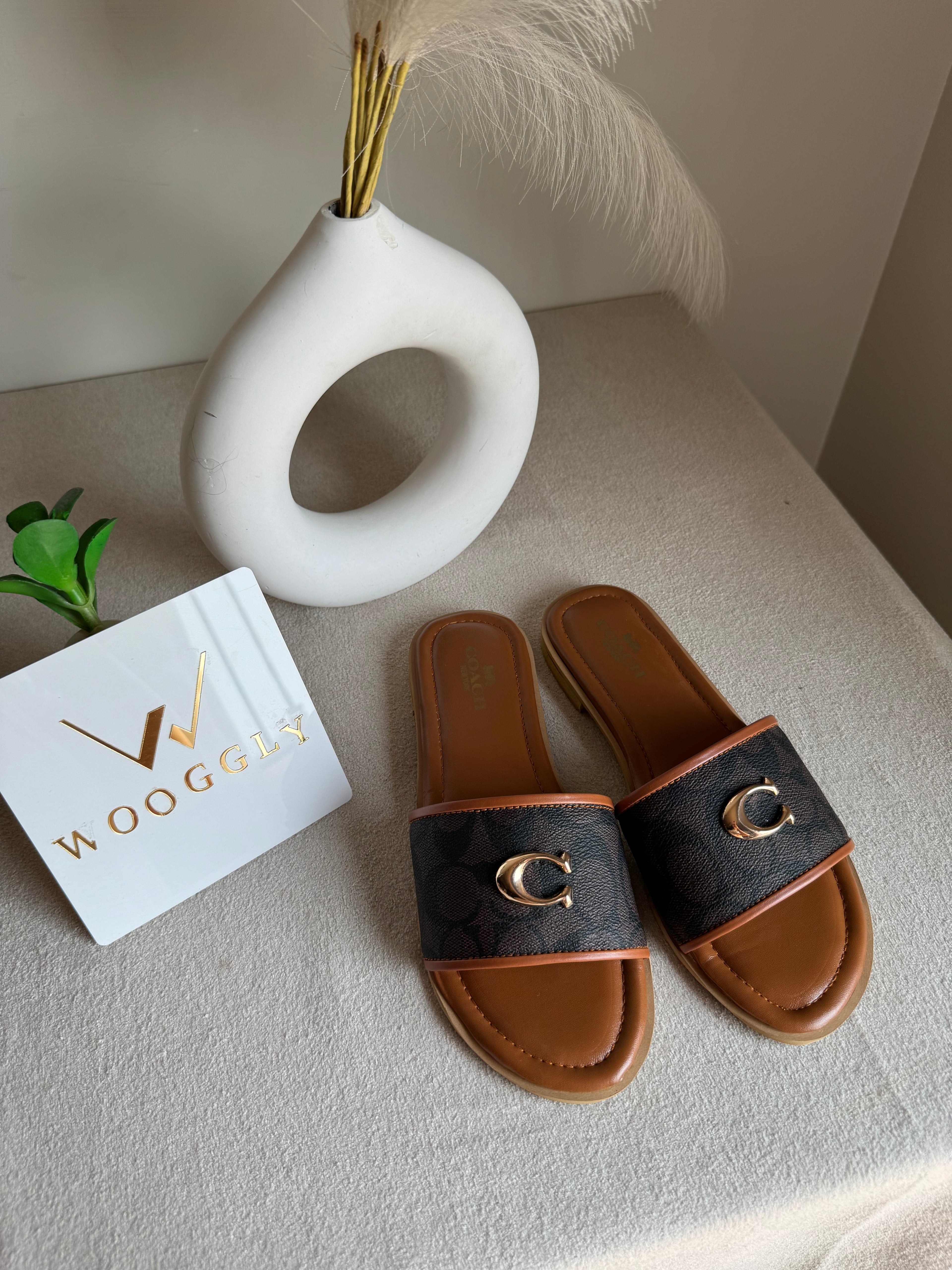 Viral Coach Slides Brown