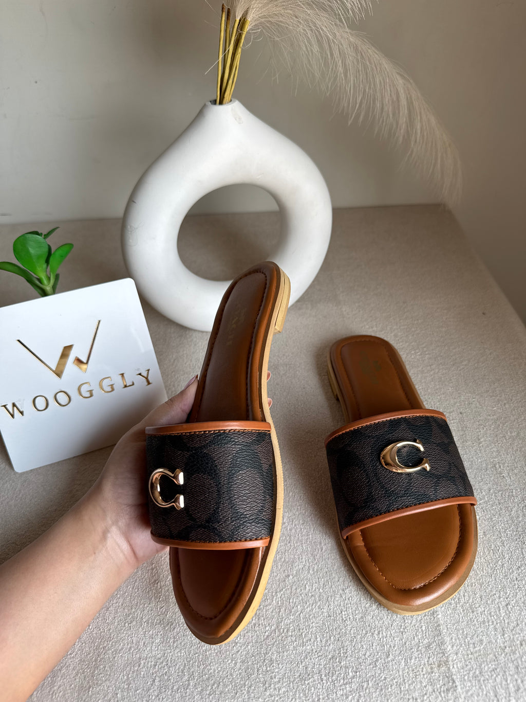 Viral Coach Slides Brown
