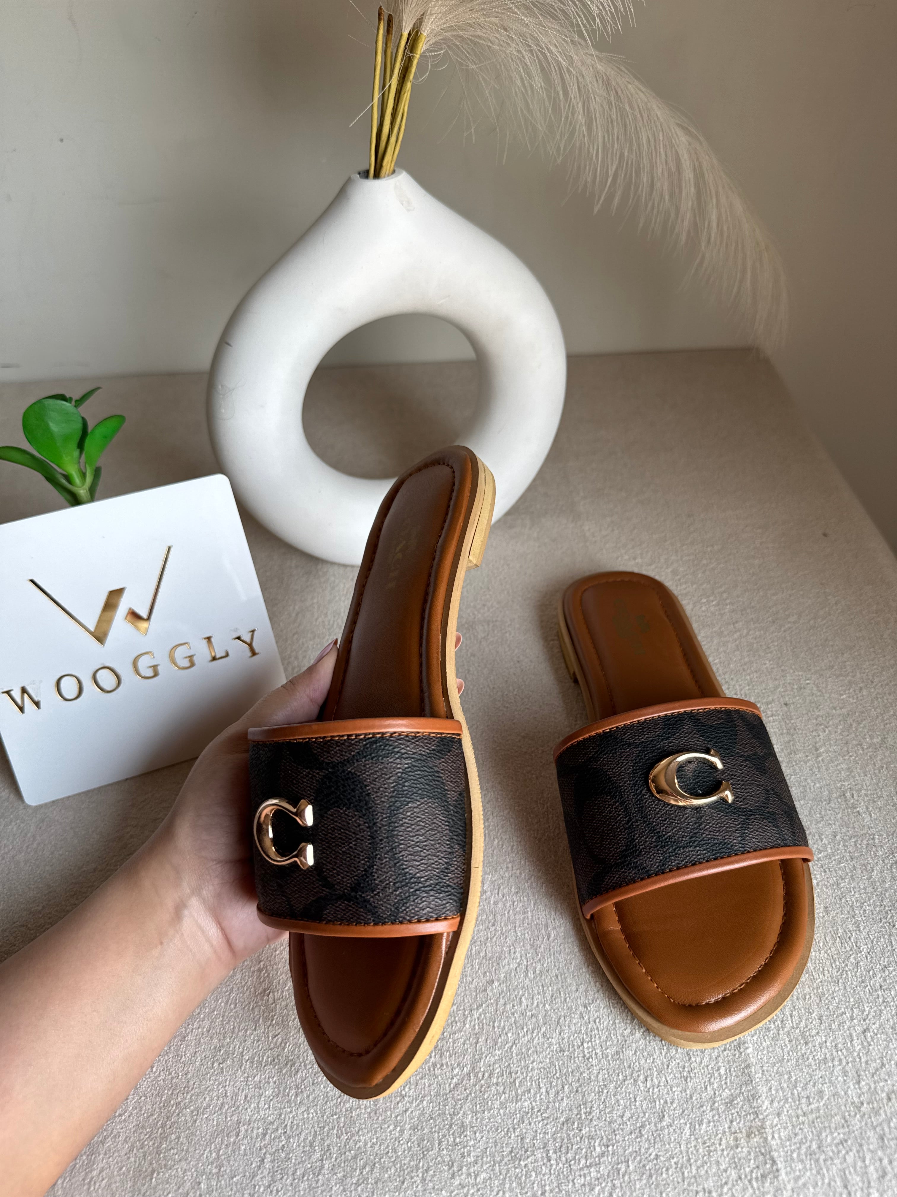 Viral Coach Slides Brown
