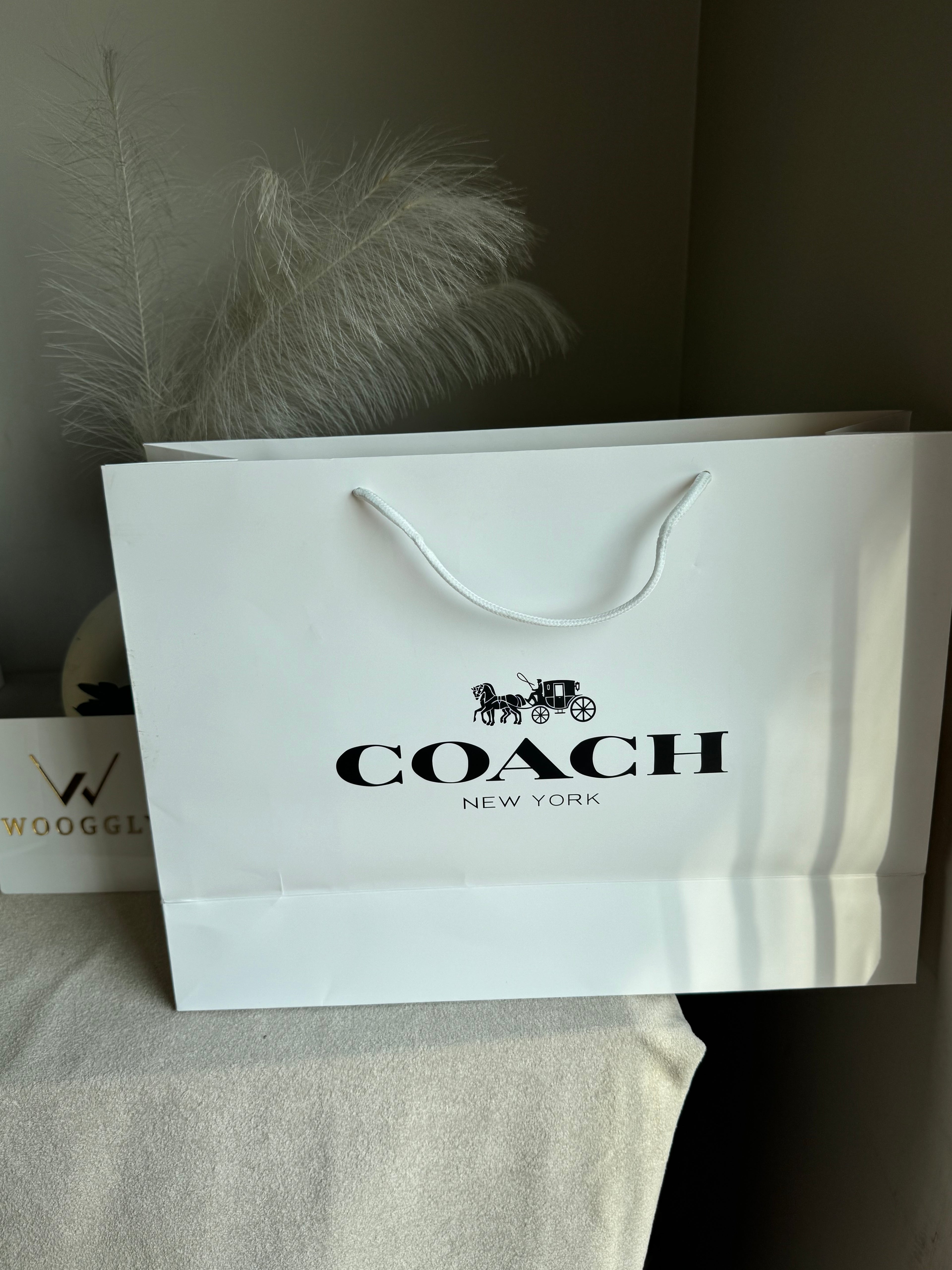 Gift Bag - Coach - Large (ONLY FOR PICK UP OR INDRIVE CUSTOMERS IN LAHORE)
