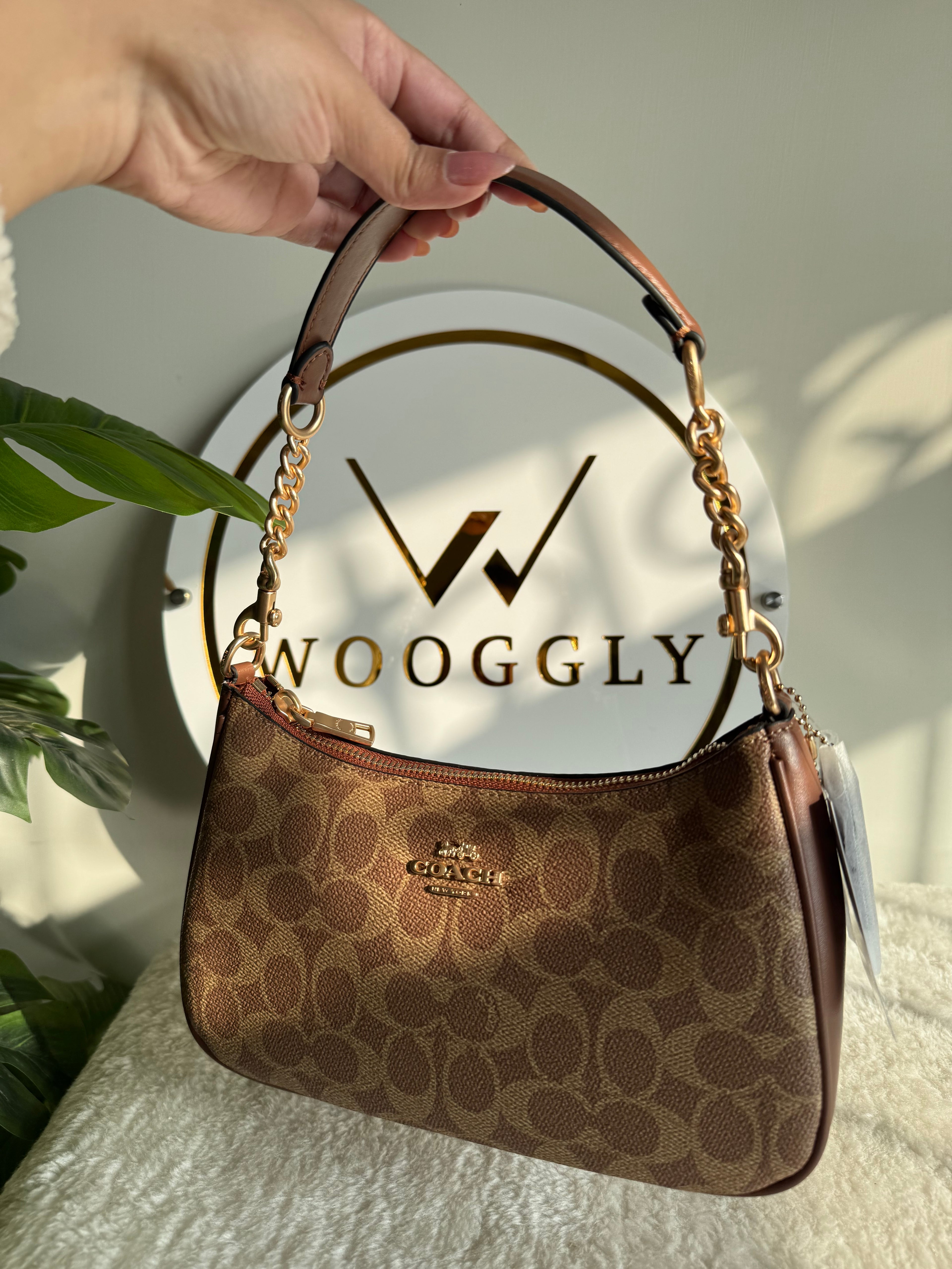 COACH TERI PREMIUM (Apricot Brown) - MAGNETIC BOX PACKING