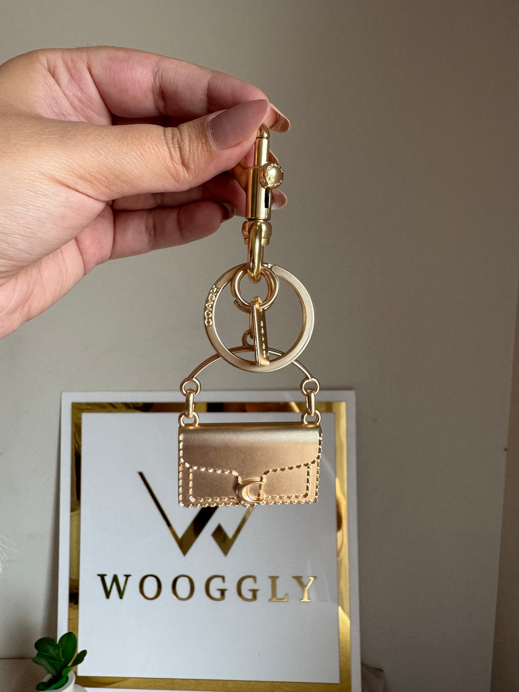 Premium Tabby Mini Bag Charm
