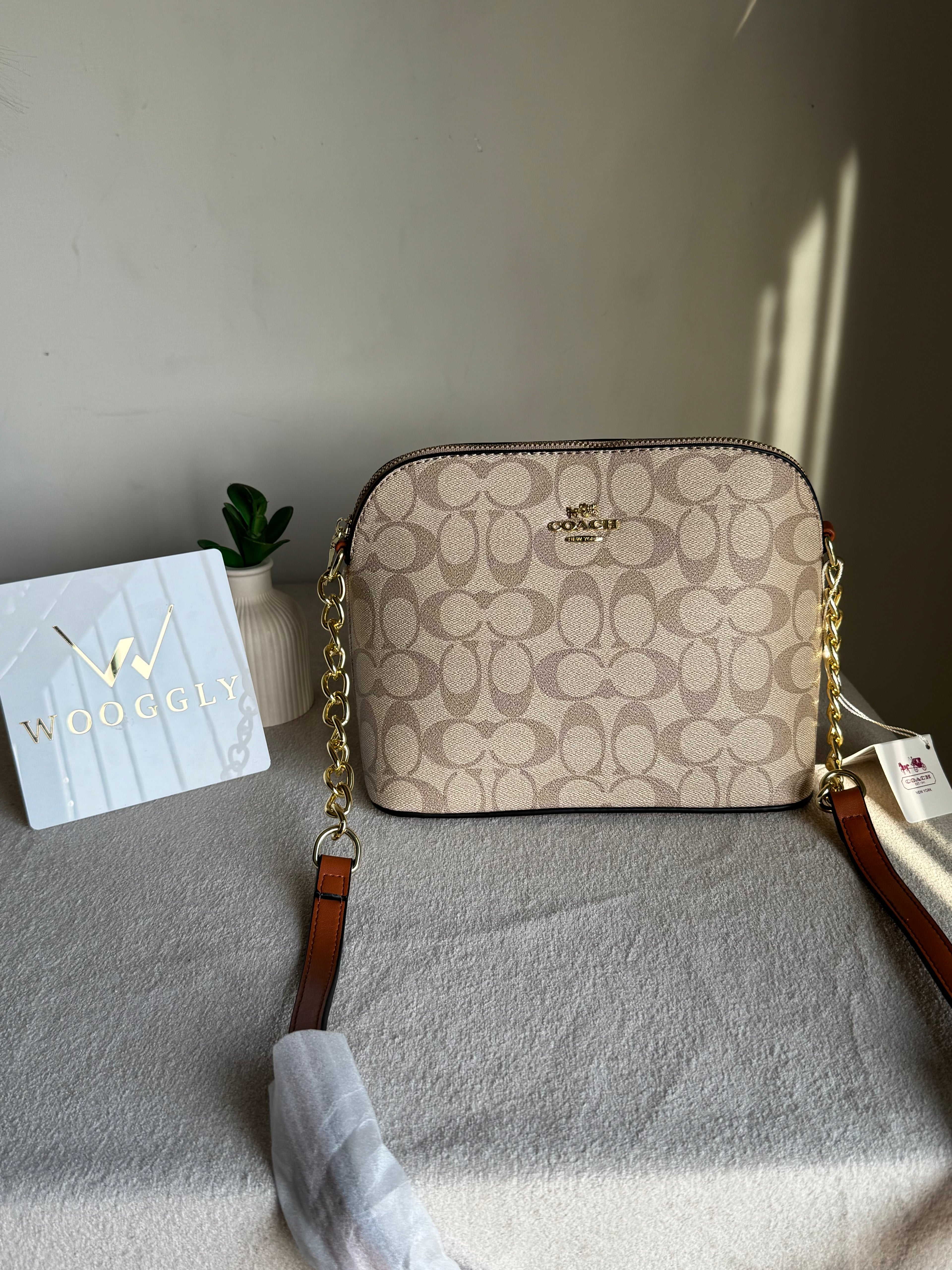 COACH Premium Crossbody Bag - Beige & Brown
