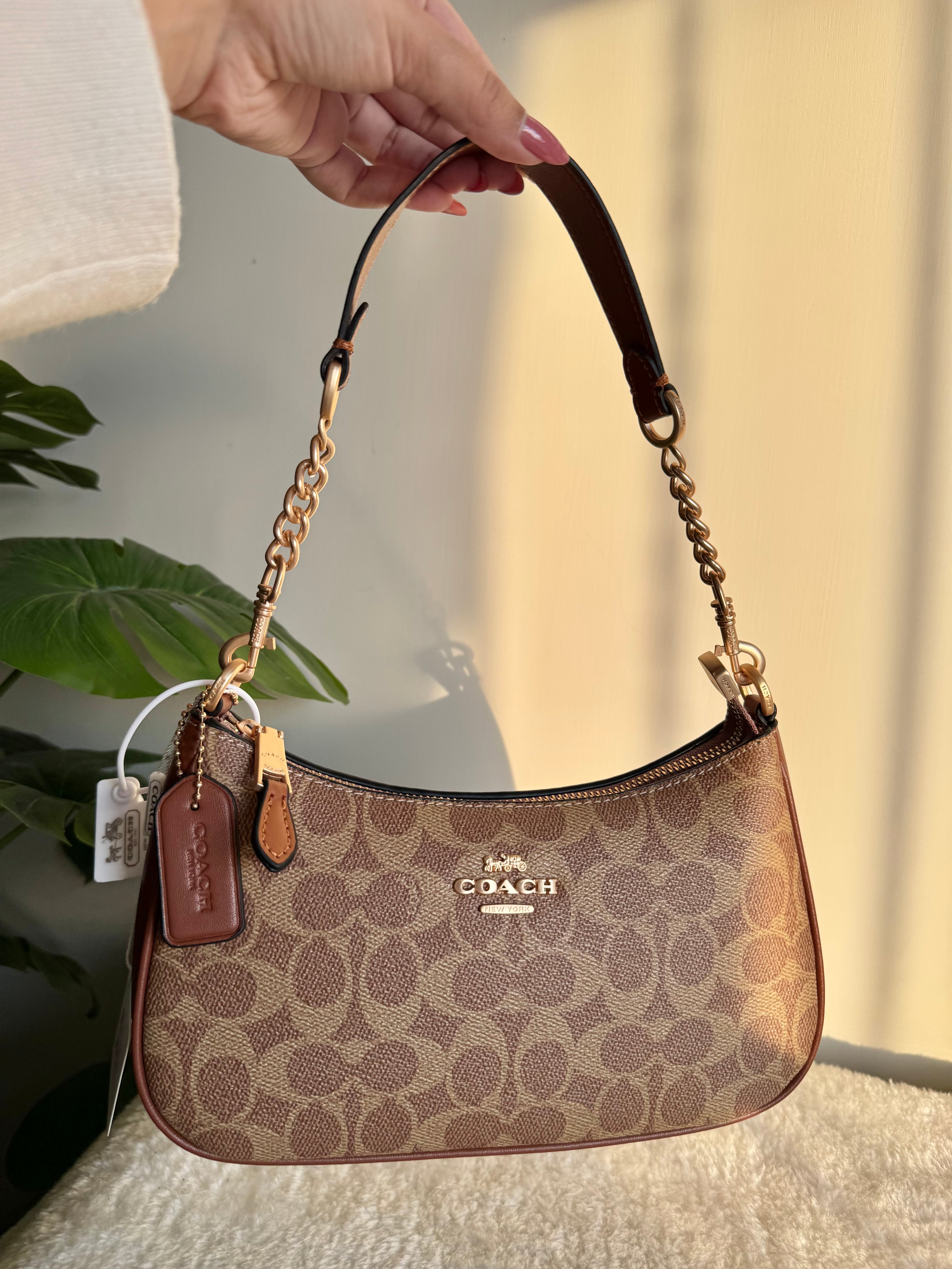 COACH TERI PREMIUM (Apricot Brown) - BOX PACKING