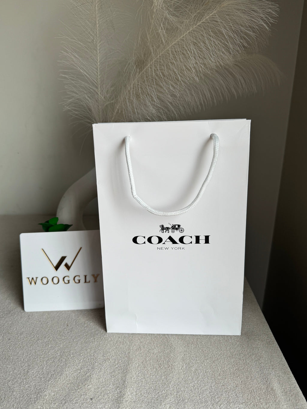 Gift Bag - Coach - Small (ONLY FOR PICK UP OR INDRIVE CUSTOMERS IN LAHORE)