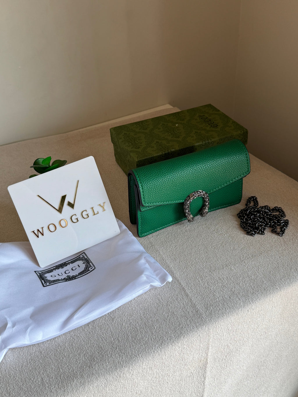 Viral Mini Gucci Bag Green - Box Packing