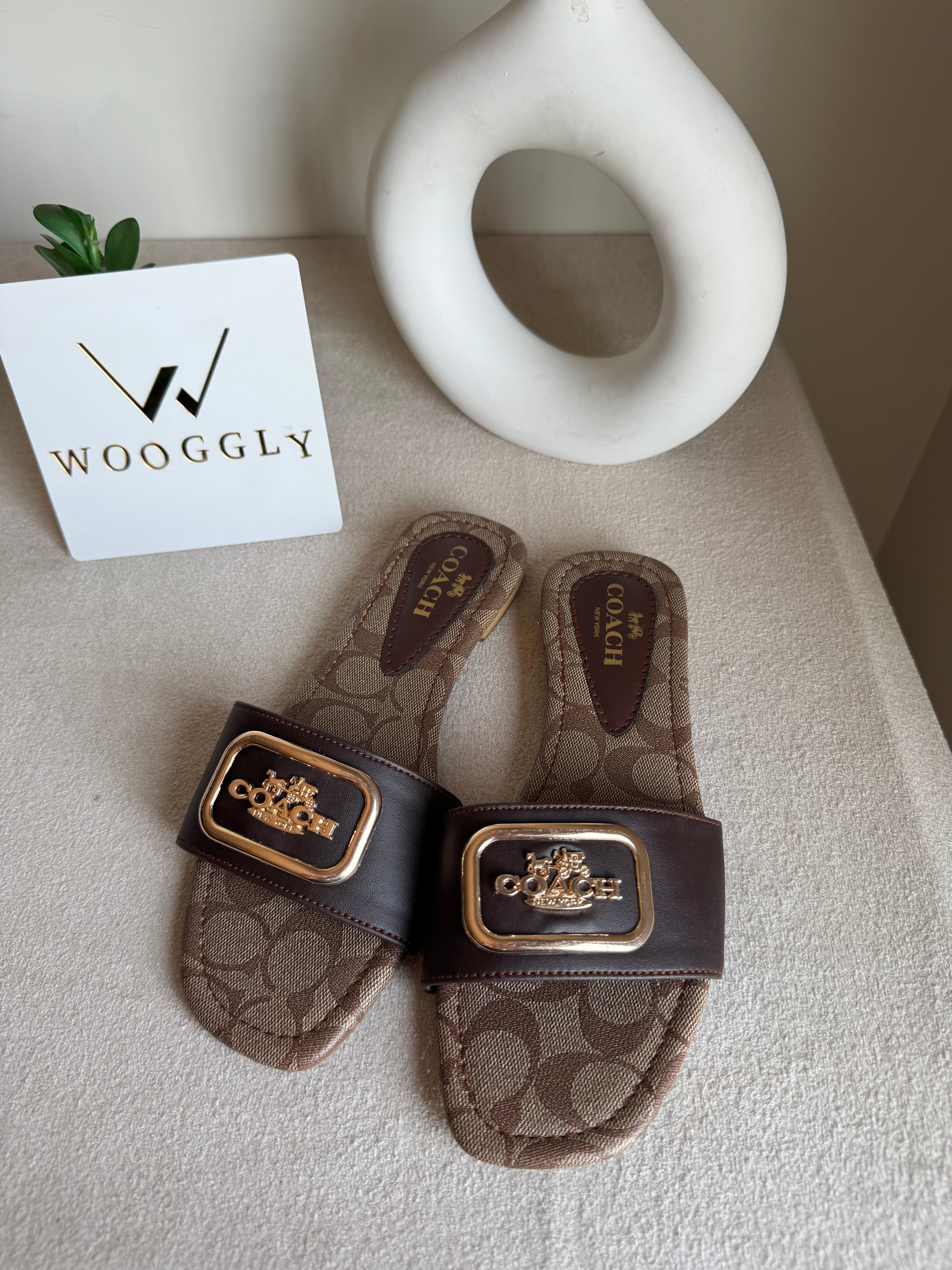 Minimal Coach Slides - Signature Brown