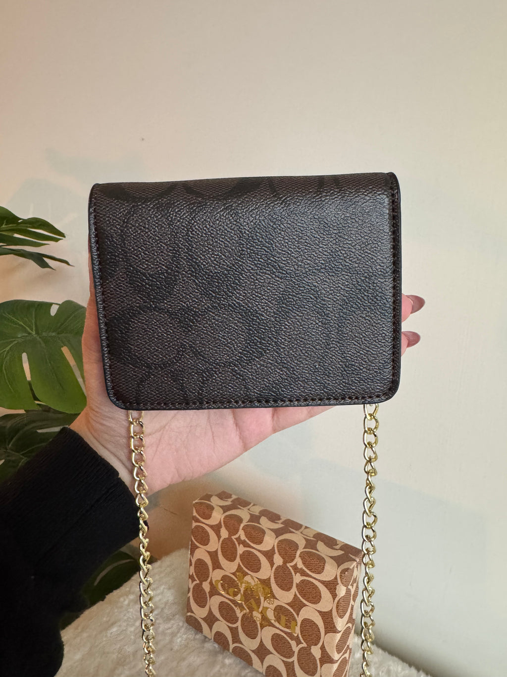 Coach Signature Wallet with Detachable Long Chain - Signature Brown