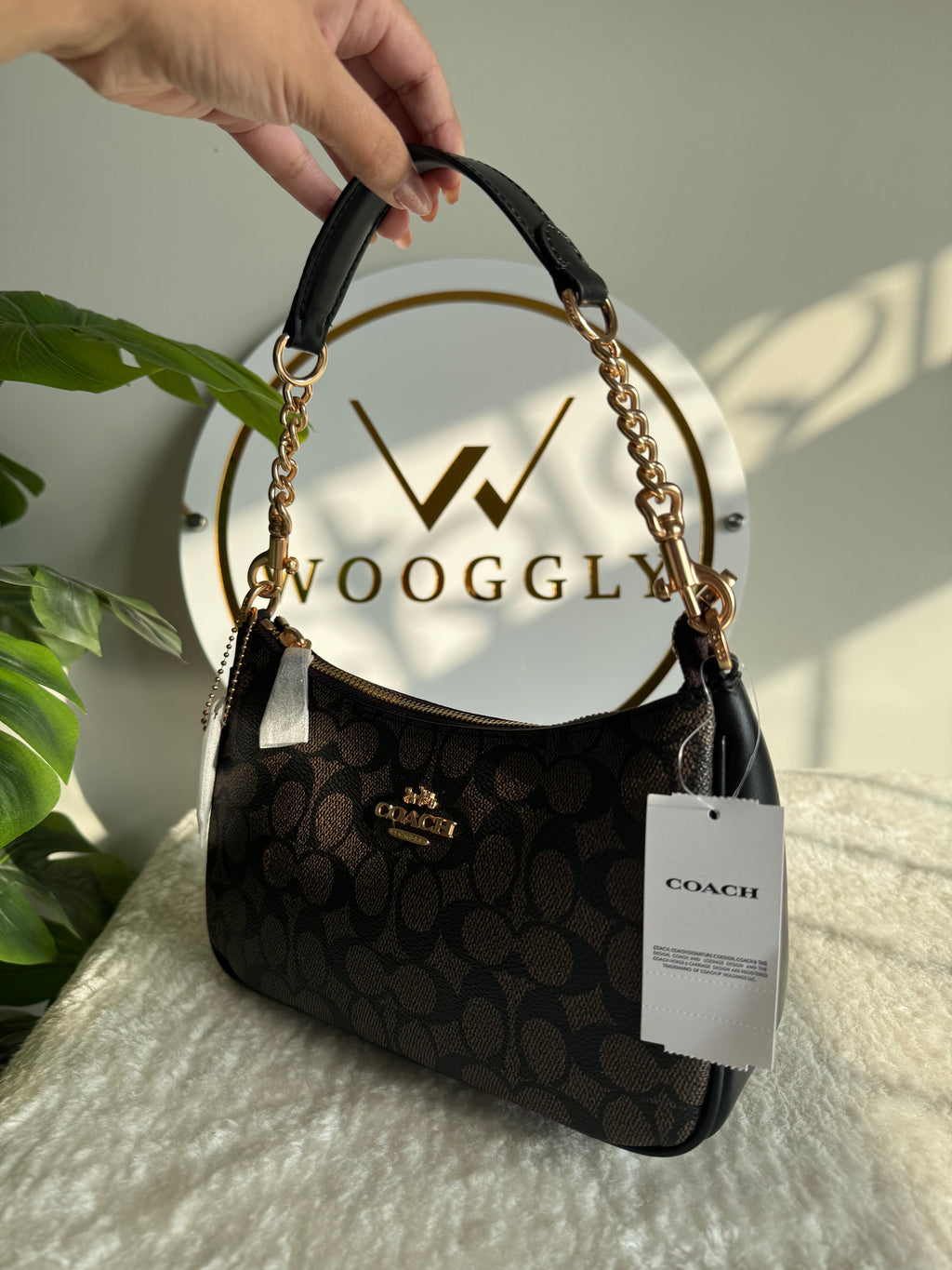 COACH TERI PREMIUM (Signature Brown) - MAGNETIC BOX PACKING