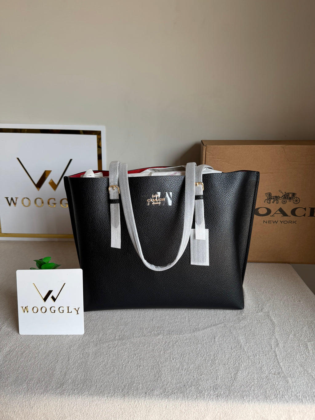 EXTREMELY PREMIUM COACH Mollie Tote Bag - Black (BOX PACKING)