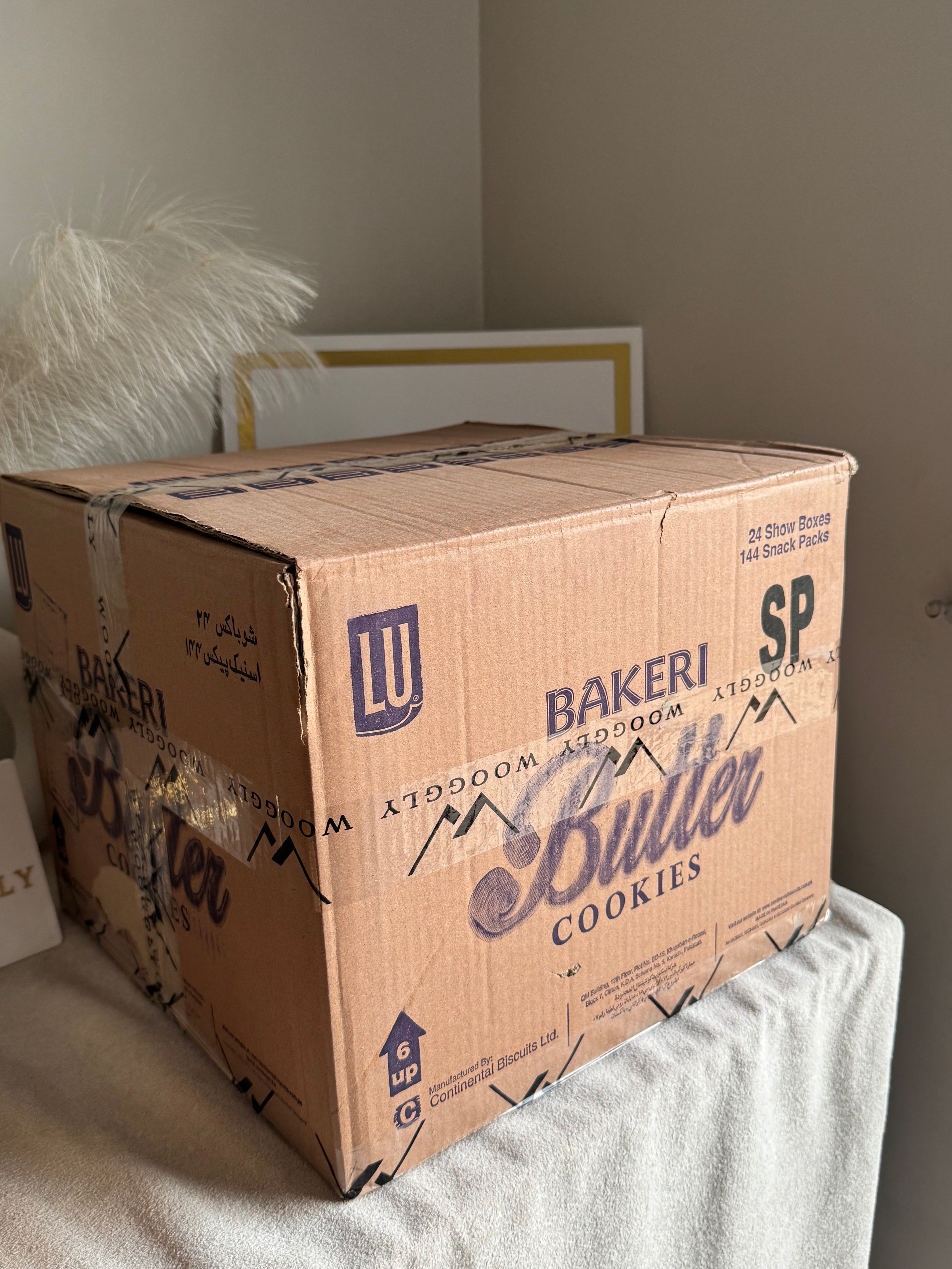 CARTON BOX PACKING for PAPER BAGS