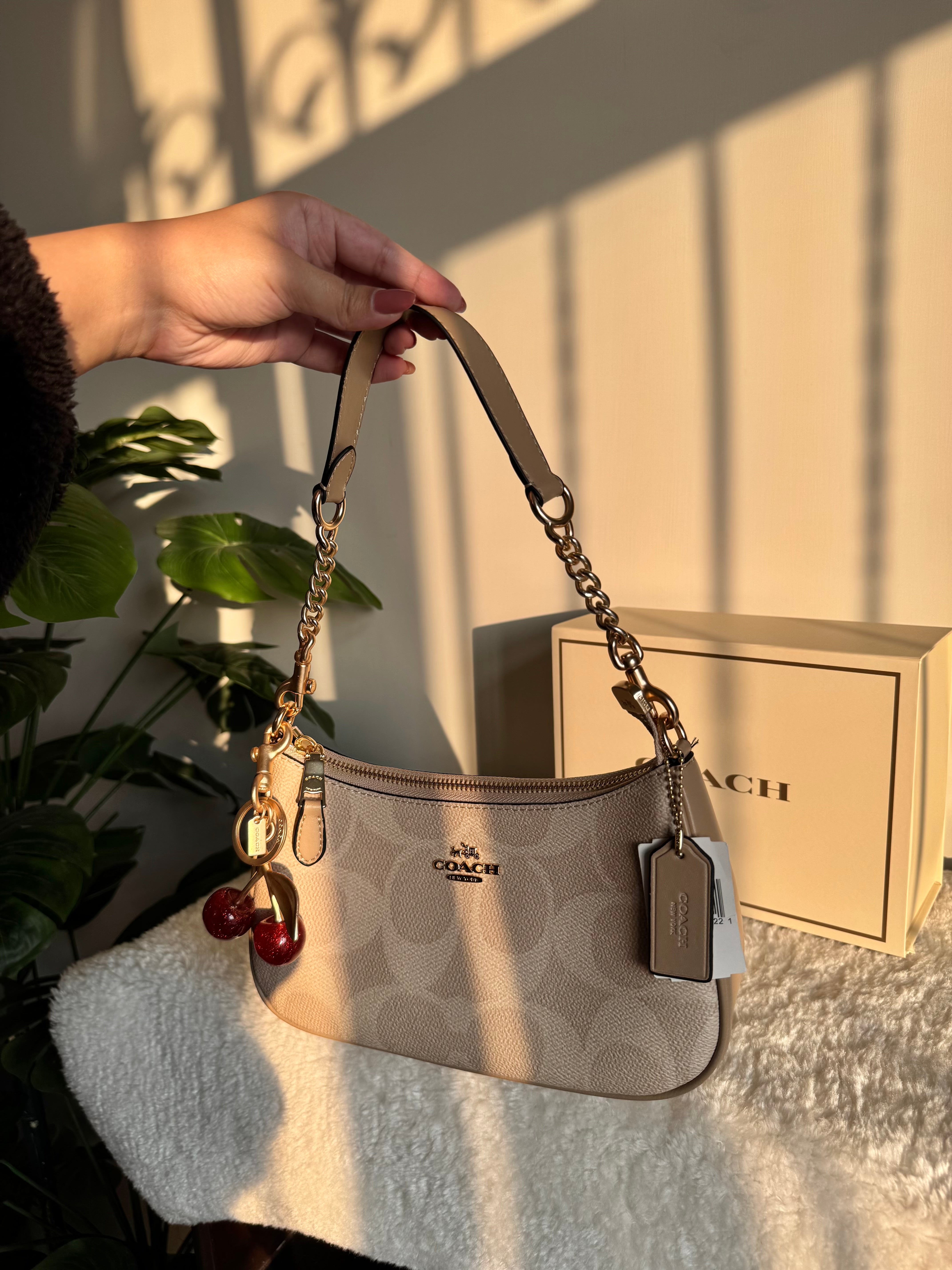 COACH TERI PREMIUM with Coach Cherry Charm (Beige) - BOX PACKING