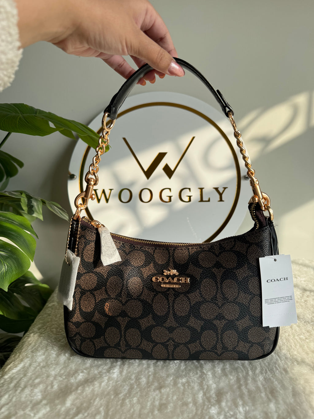 COACH TERI PREMIUM (Signature Brown) - MAGNETIC BOX PACKING