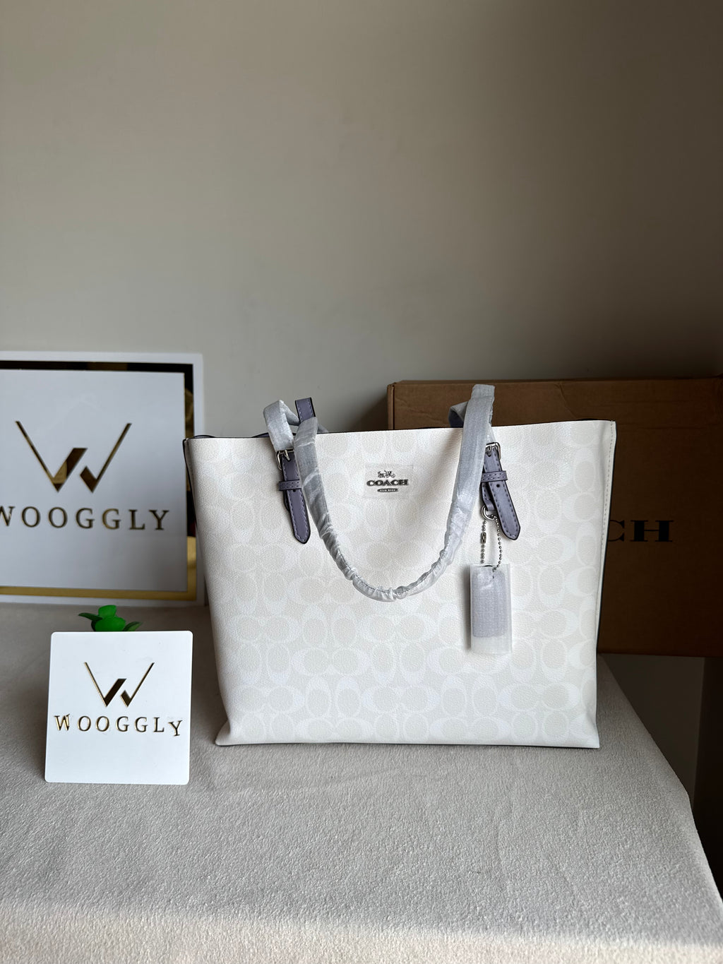 EXTREMELY PREMIUM COACH Mollie Tote Bag - Signature White & Lilac (BOX PACKING)