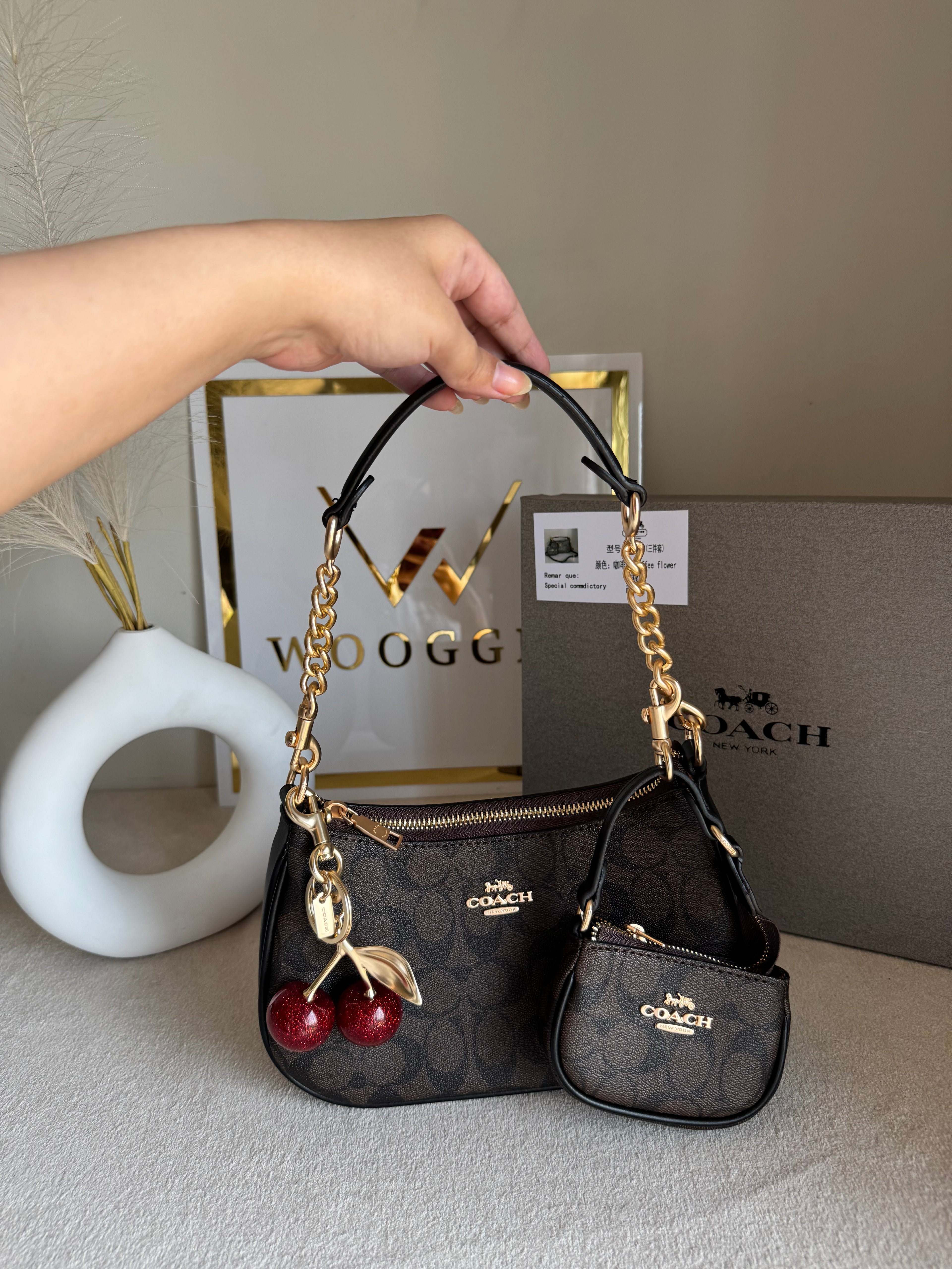 COACH Teri Gift Box with Baby Teri Charm & Coach Cherry Charm - Signature Brown