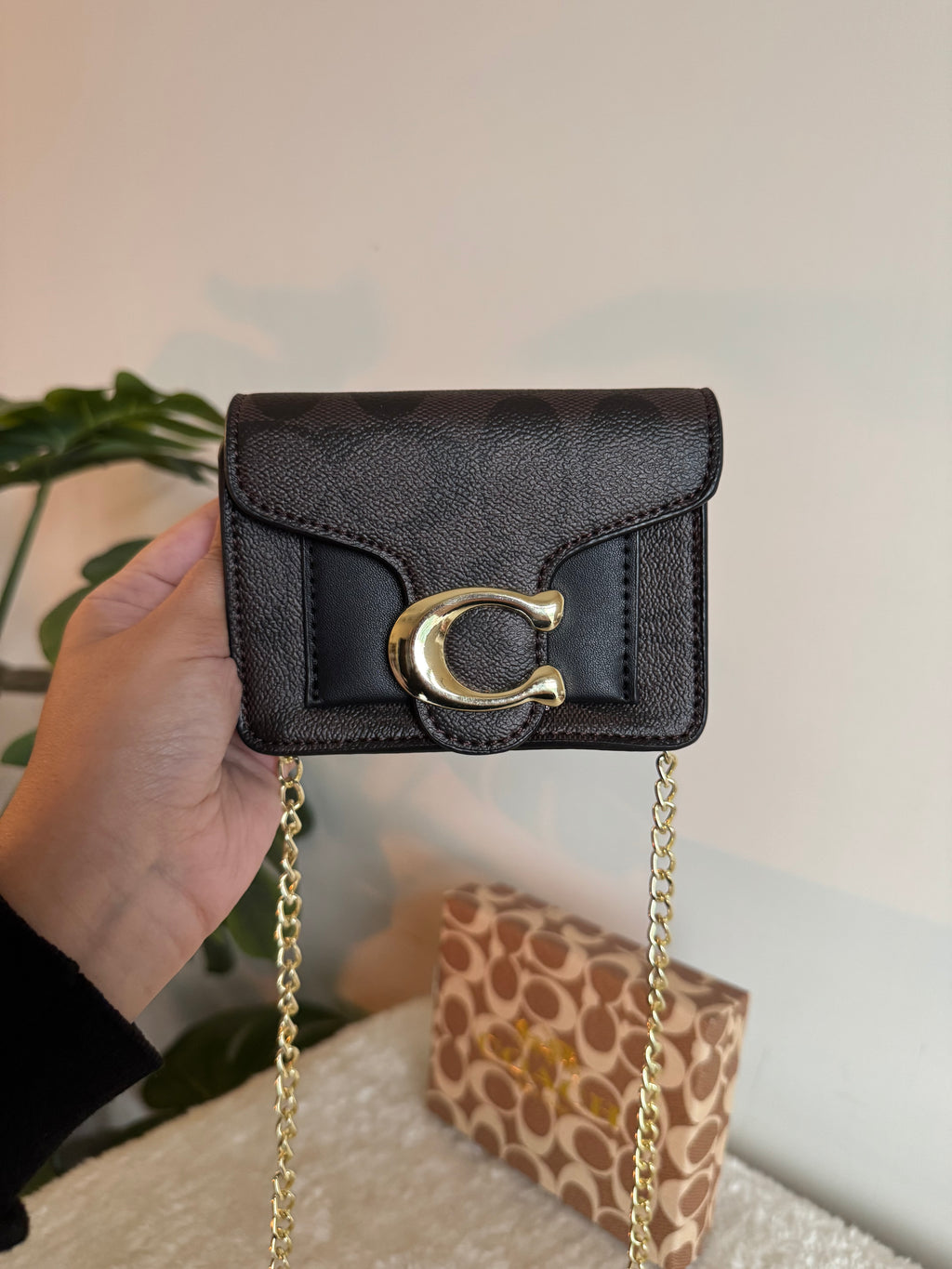 Coach Signature Wallet with Detachable Long Chain - Signature Brown