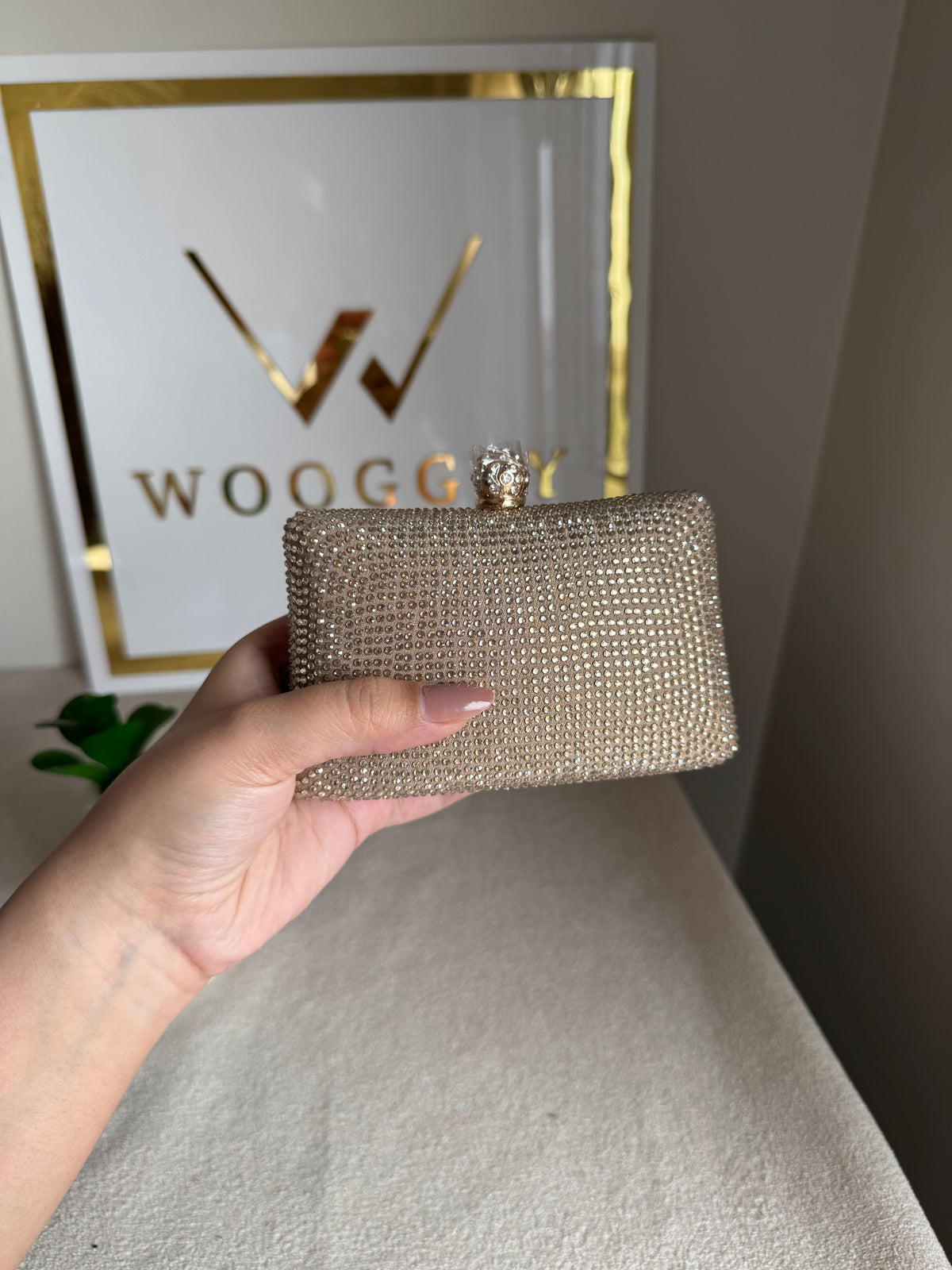 Icon Clutch Ivory