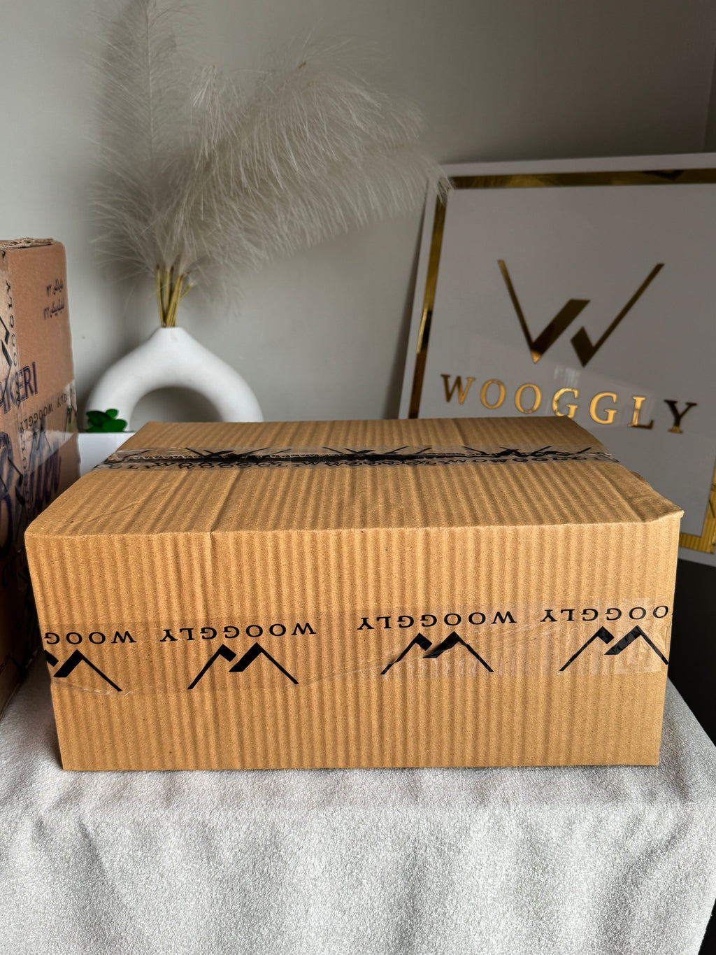 CARTON BOX PACKING for PAPER BAGS