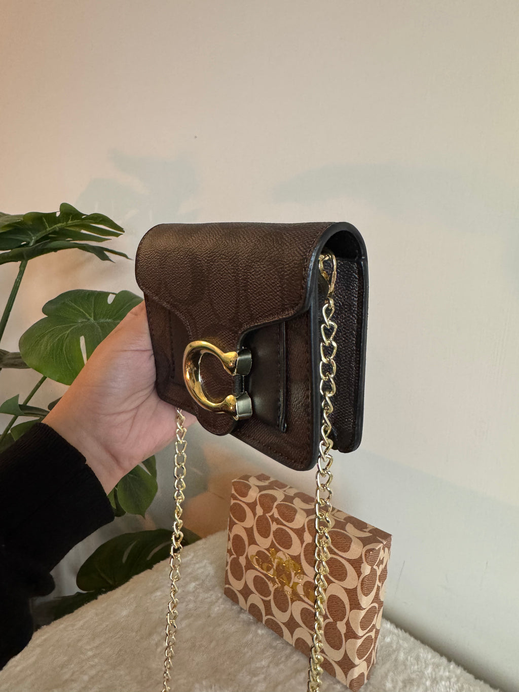 Coach Signature Wallet with Detachable Long Chain - Signature Brown
