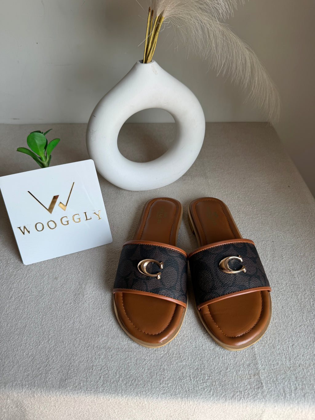 Viral Coach Slides Brown