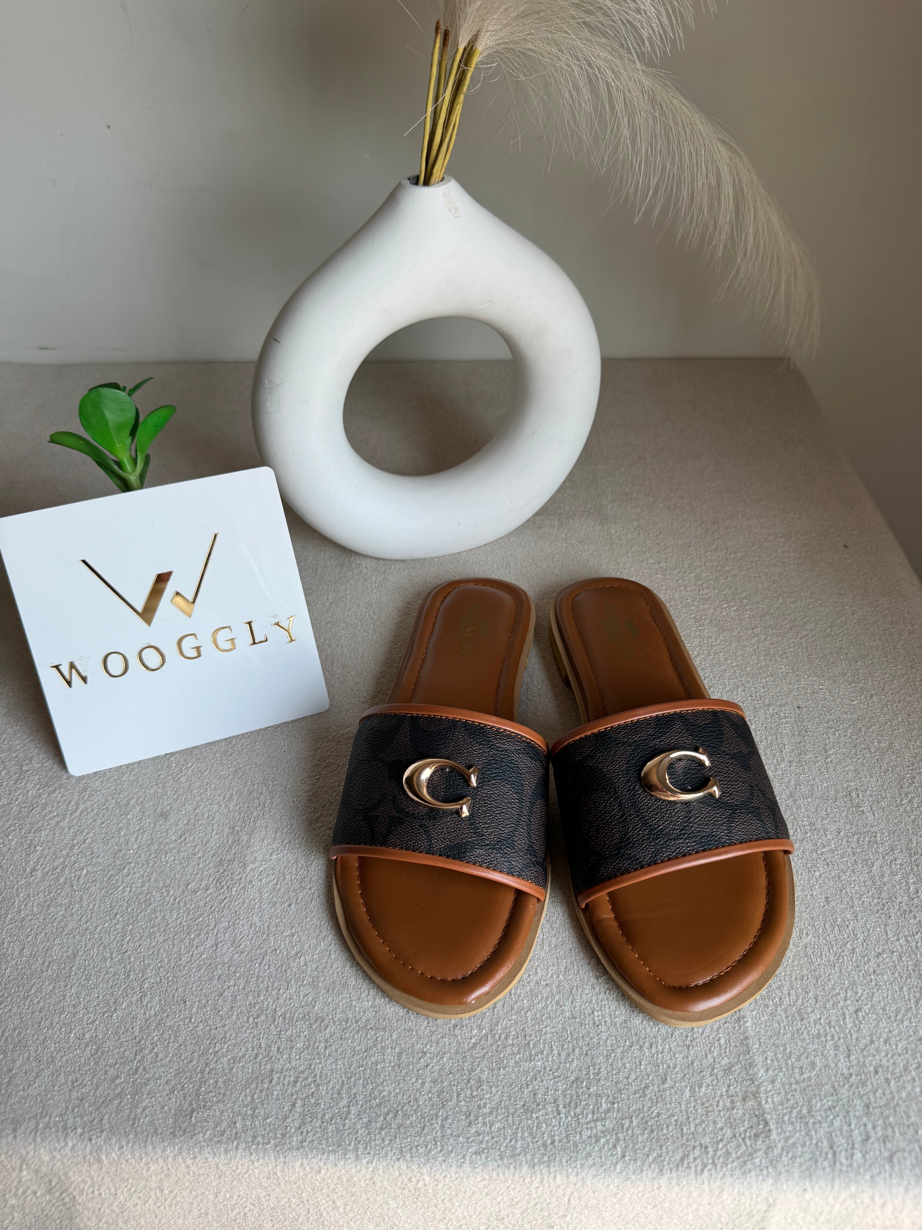 Viral Coach Slides Brown