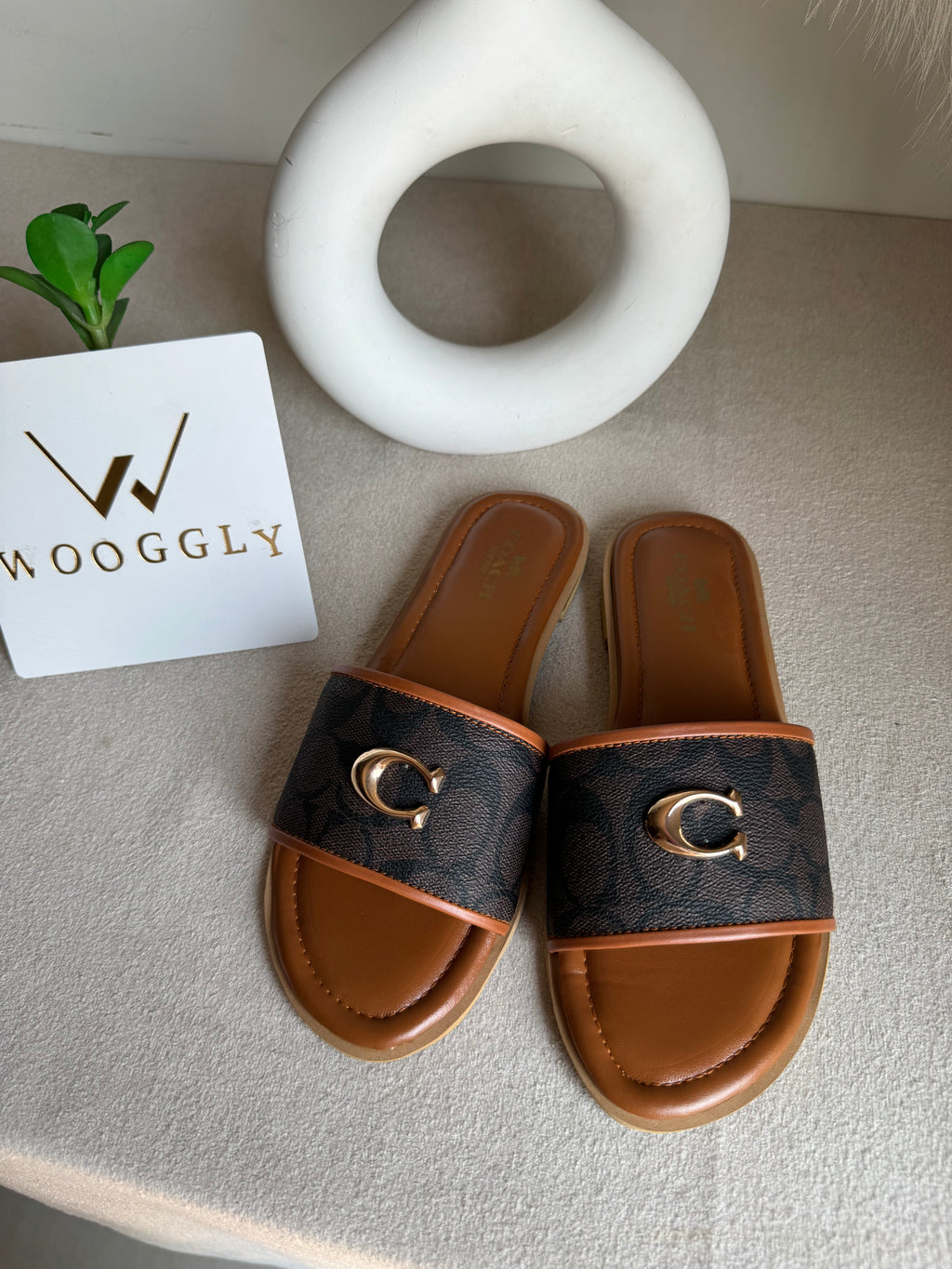 Viral Coach Slides Brown