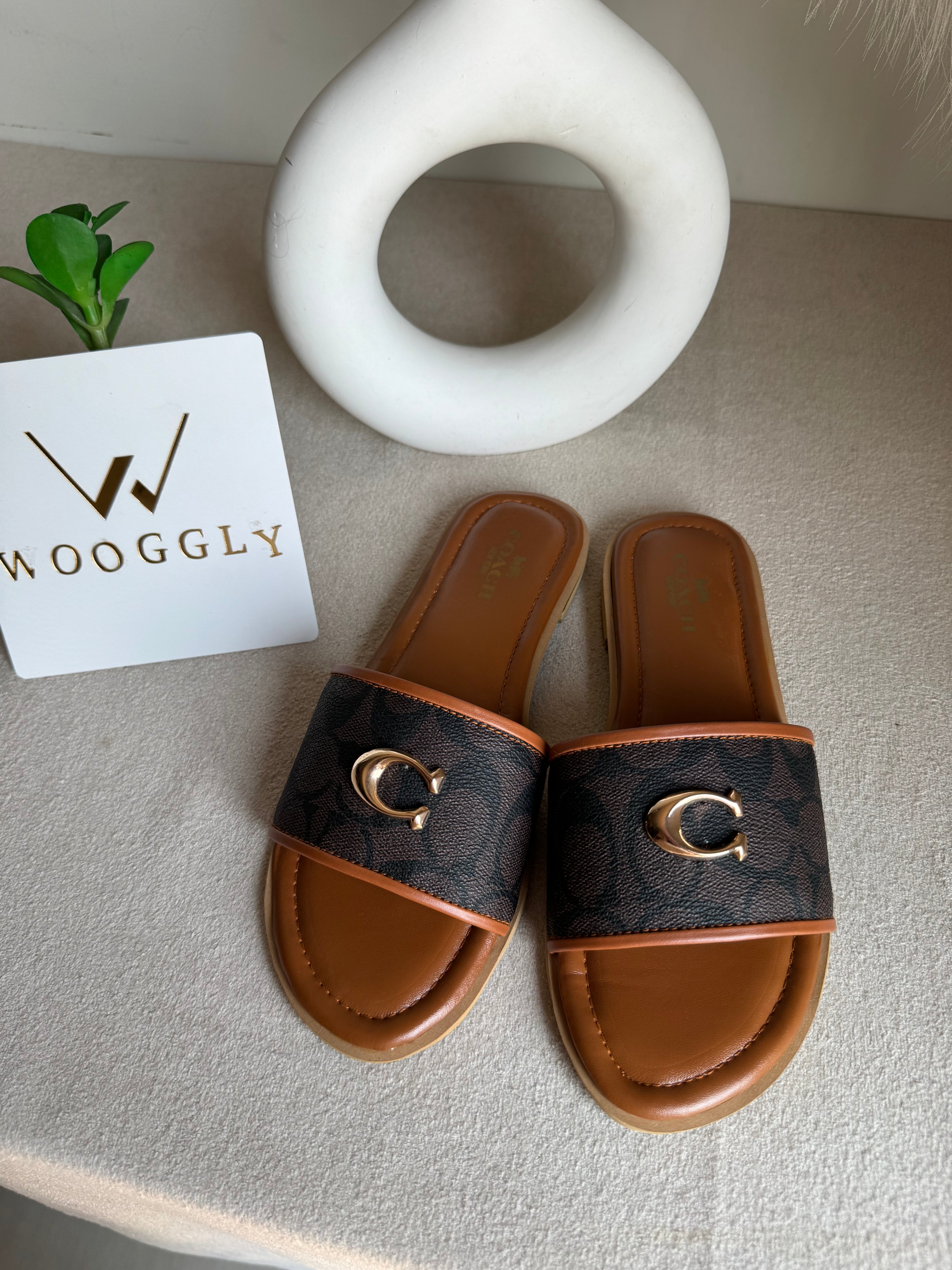 Viral Coach Slides Brown