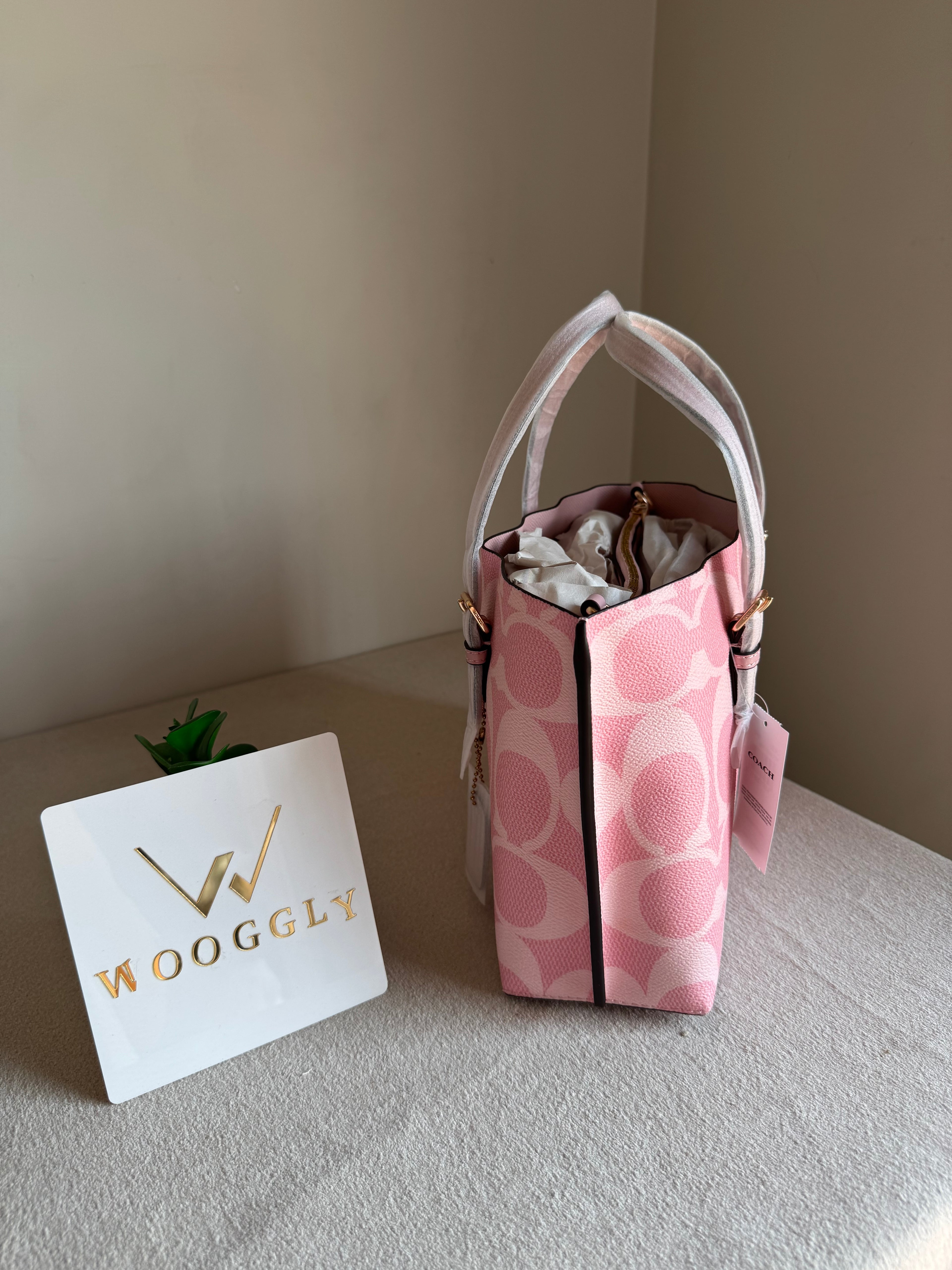 COACH Mini Mollie Tote Pink - BOX PACKING