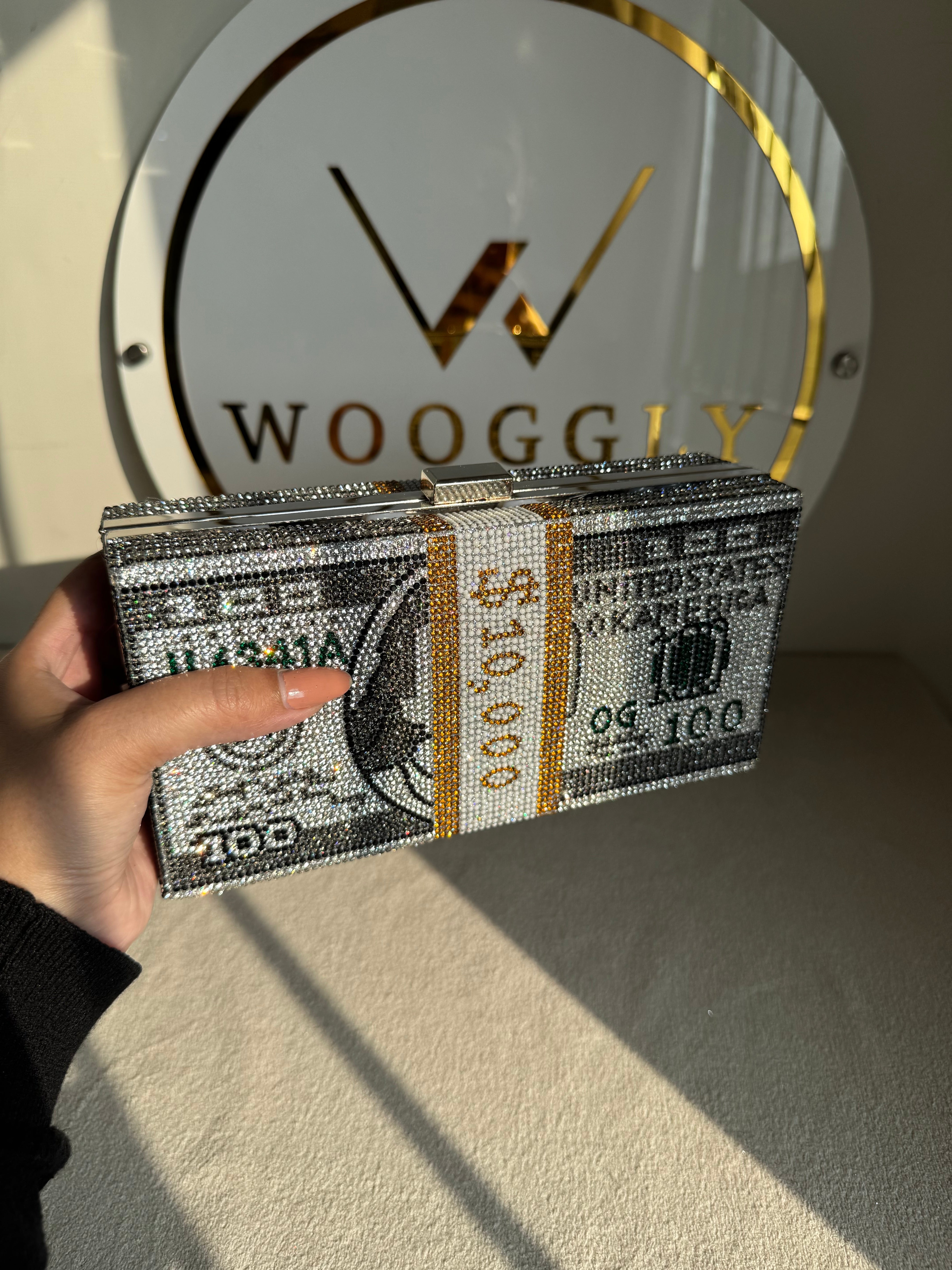 Premium Dollar Clutch - Silver with Chain