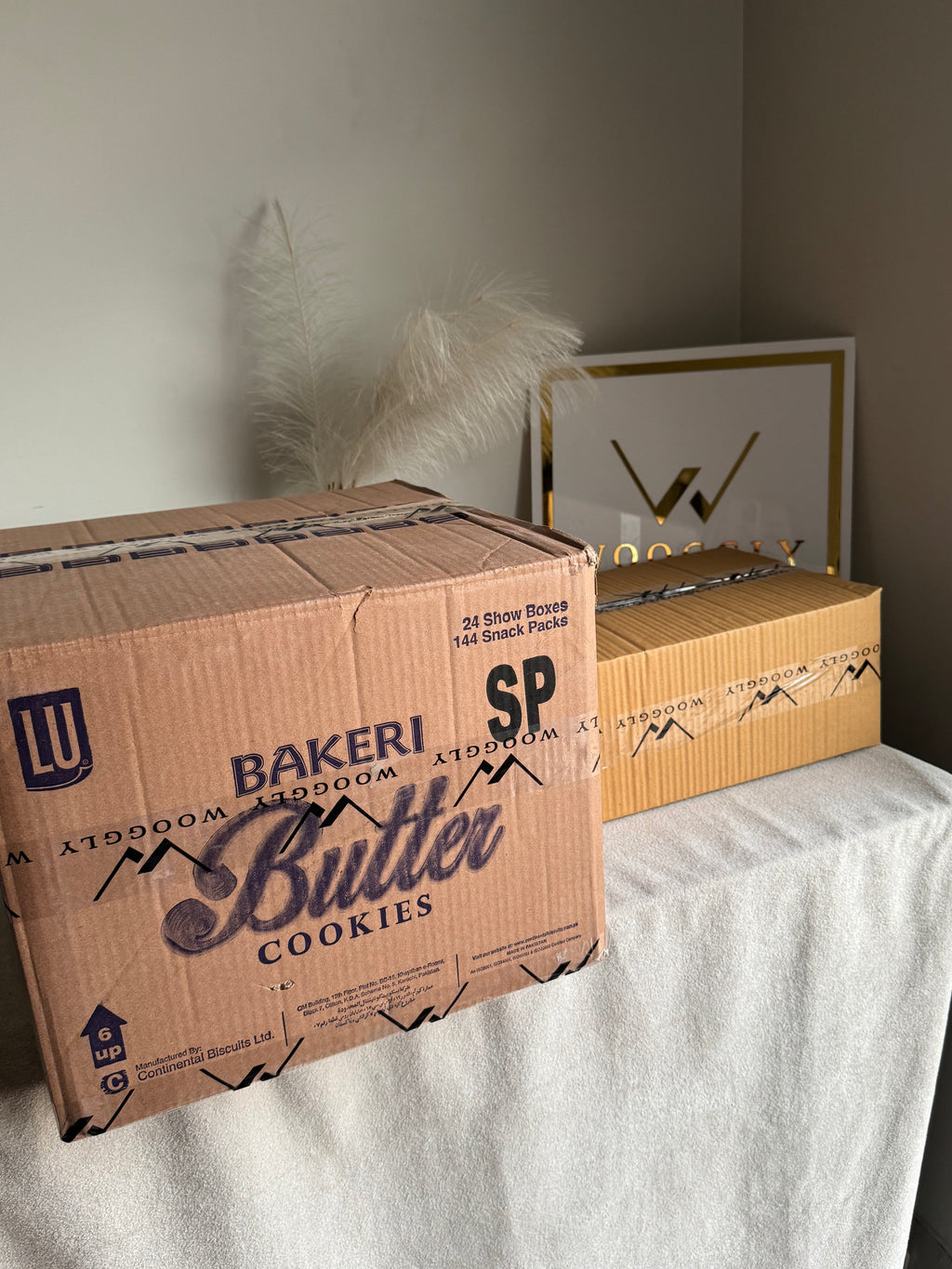 CARTON BOX PACKING for PAPER BAGS