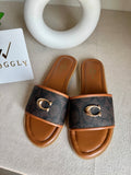 Viral Coach Slides Brown