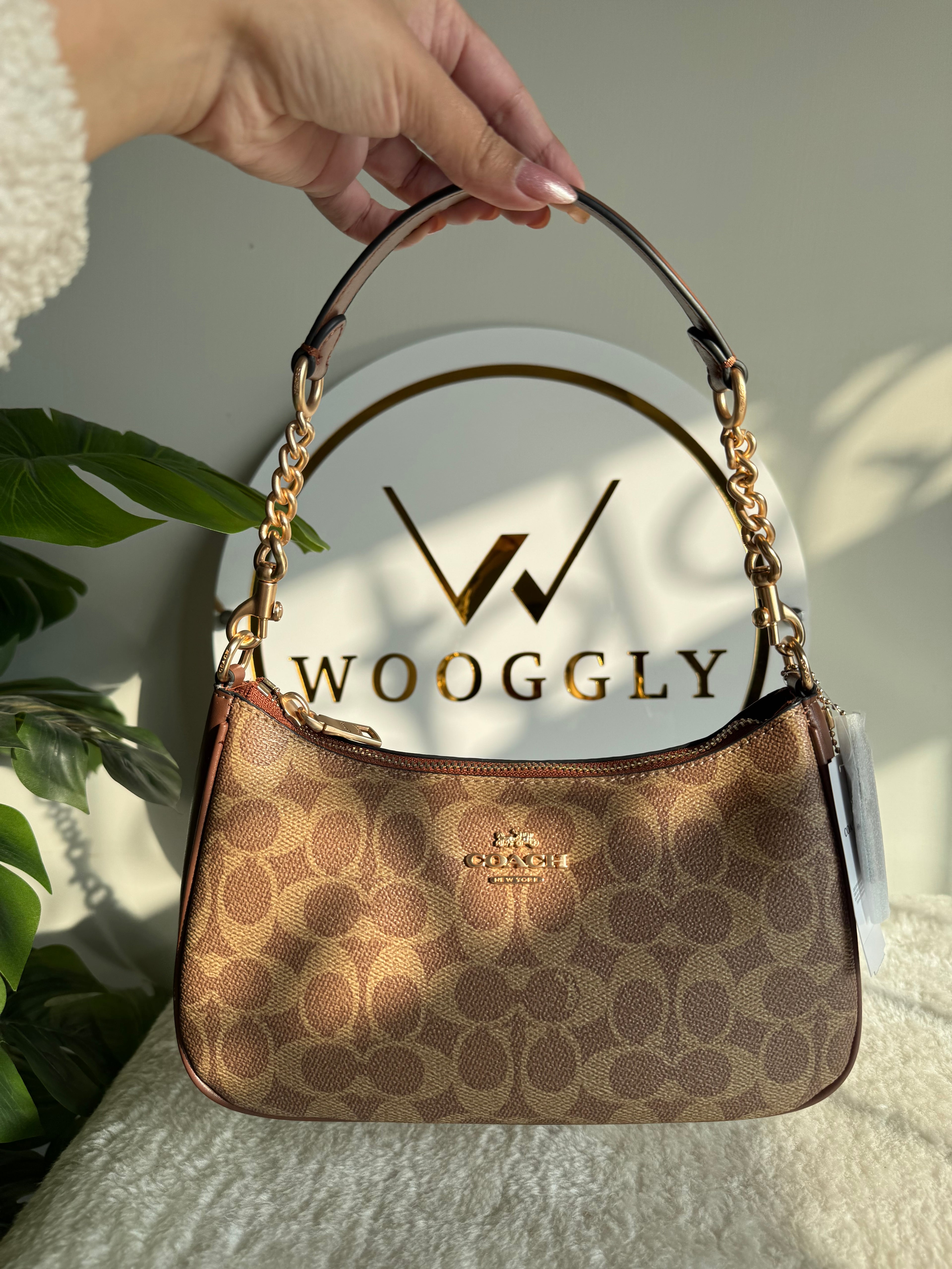 COACH TERI PREMIUM (Apricot Brown) - MAGNETIC BOX PACKING